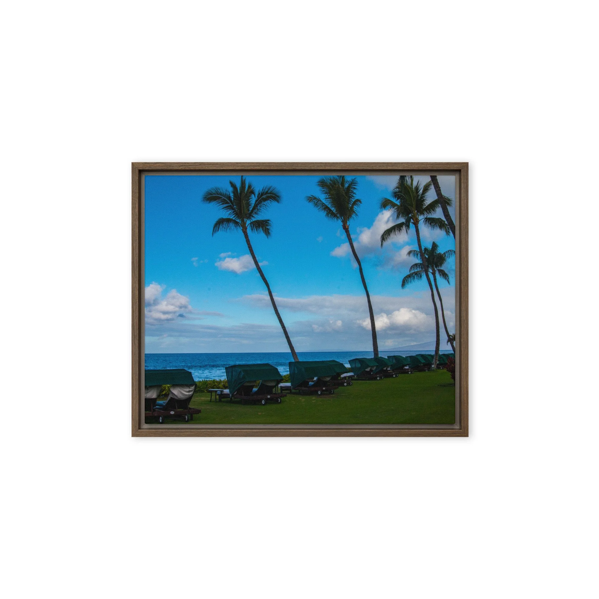 framed-canvas-(in)-brown-8x10-front-68c8de77376fc.jpg