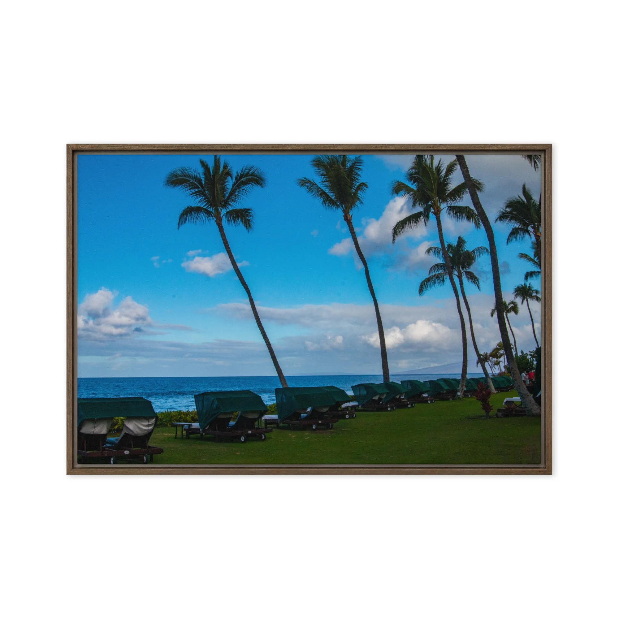 framed-canvas-(in)-brown-20x30-front-68c8de7737b30.jpg