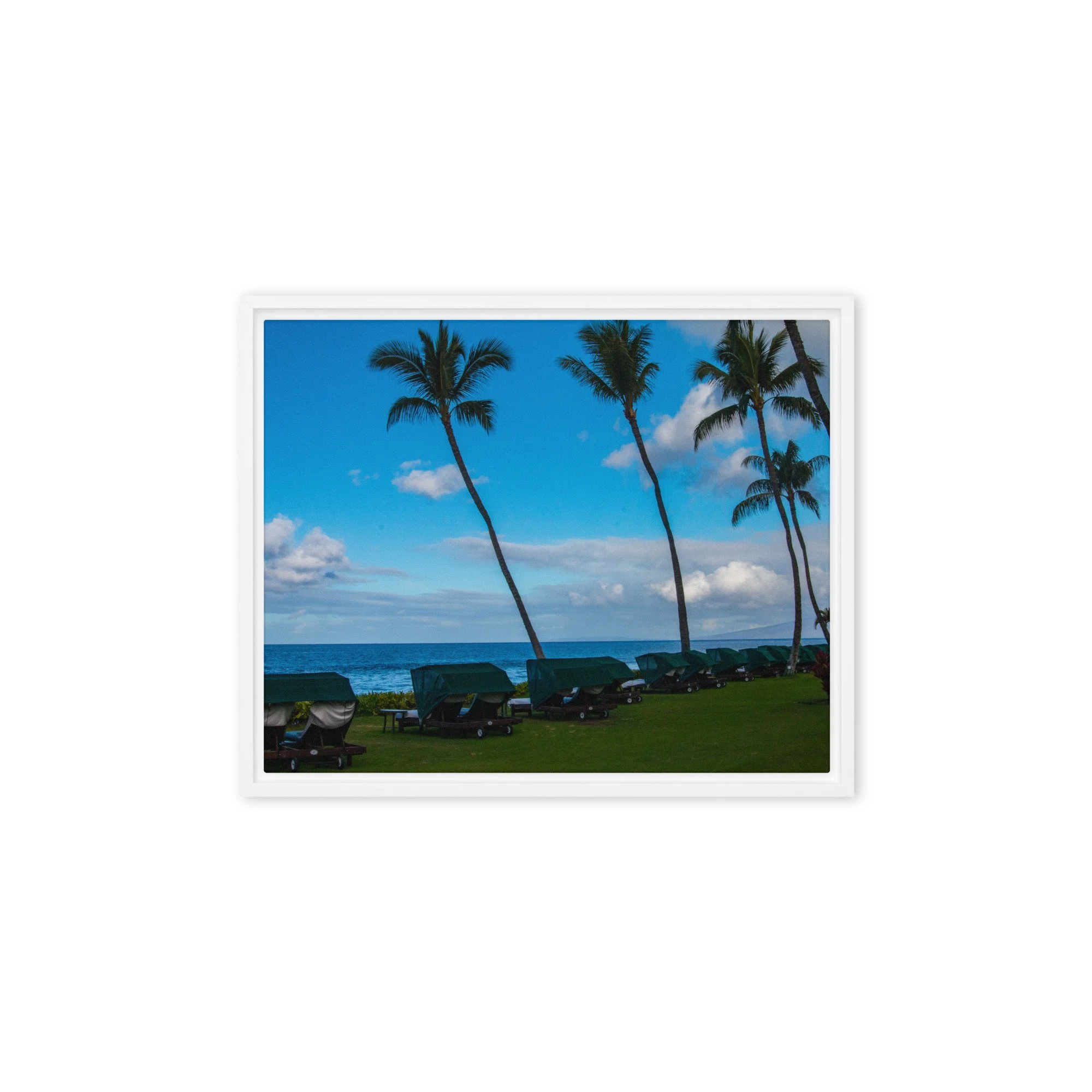 framed-canvas-(in)-white-8x10-front-68c8de7737c38.jpg