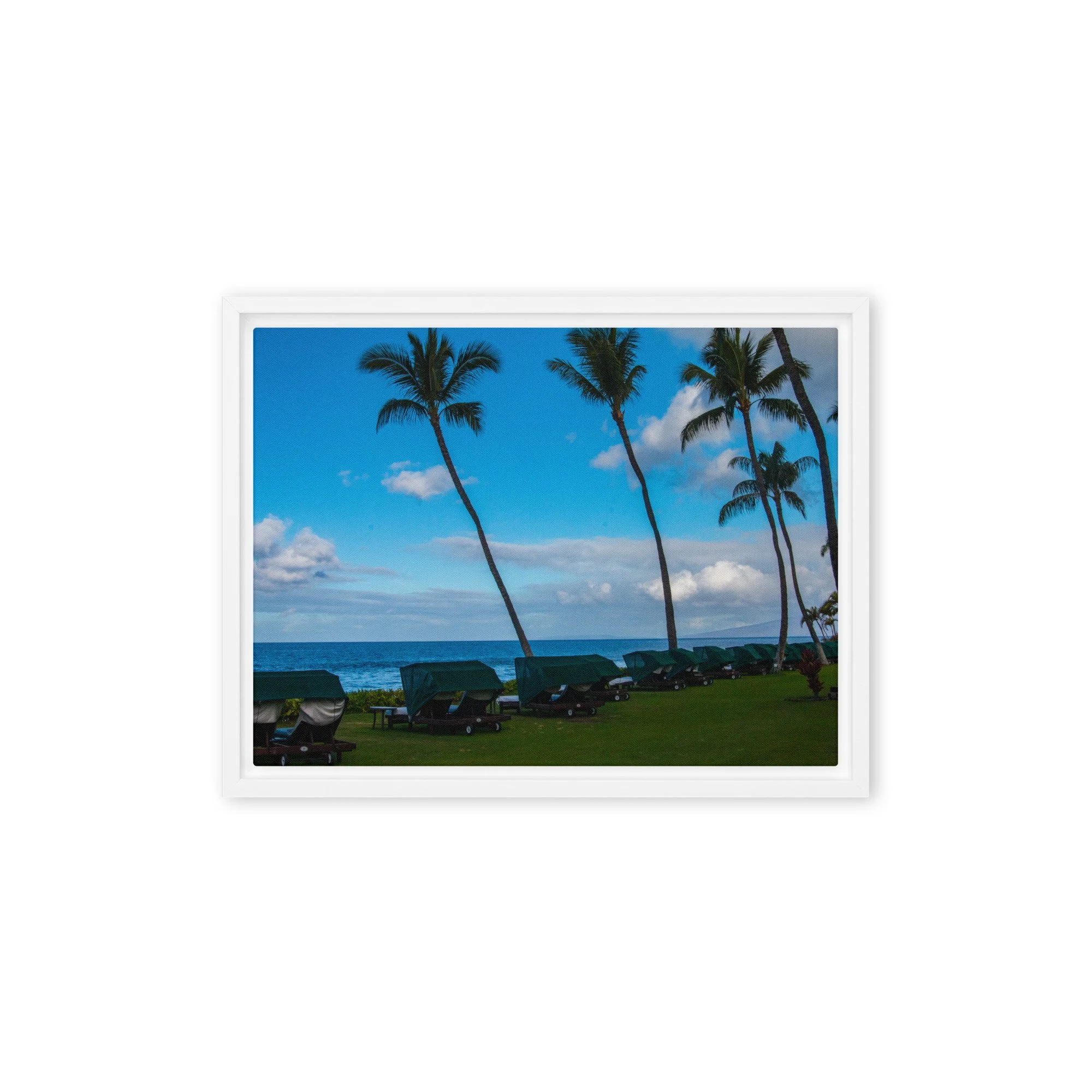 framed-canvas-(in)-white-9x12-front-68c8de7737c8d.jpg