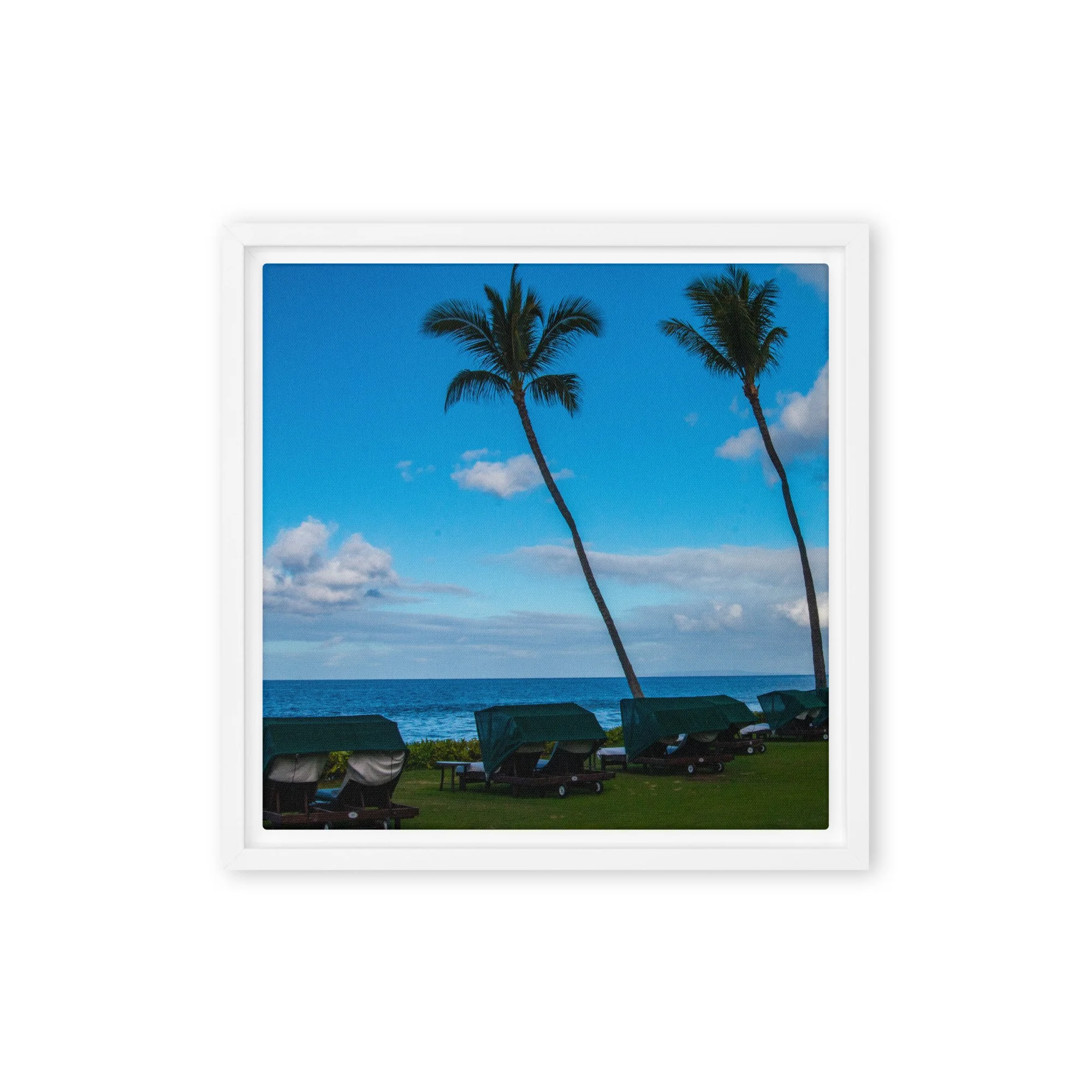 framed-canvas-(in)-white-12x12-front-68c8de7737d40.jpg