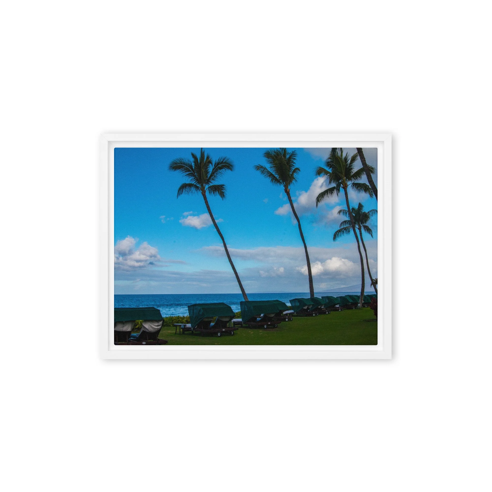 framed-canvas-(in)-white-12x16-front-68c8de7737da0.jpg