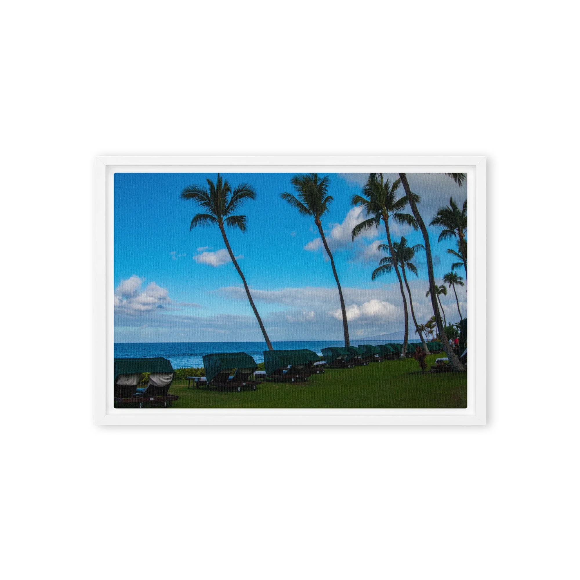 framed-canvas-(in)-white-12x18-front-68c8de7737e04.jpg