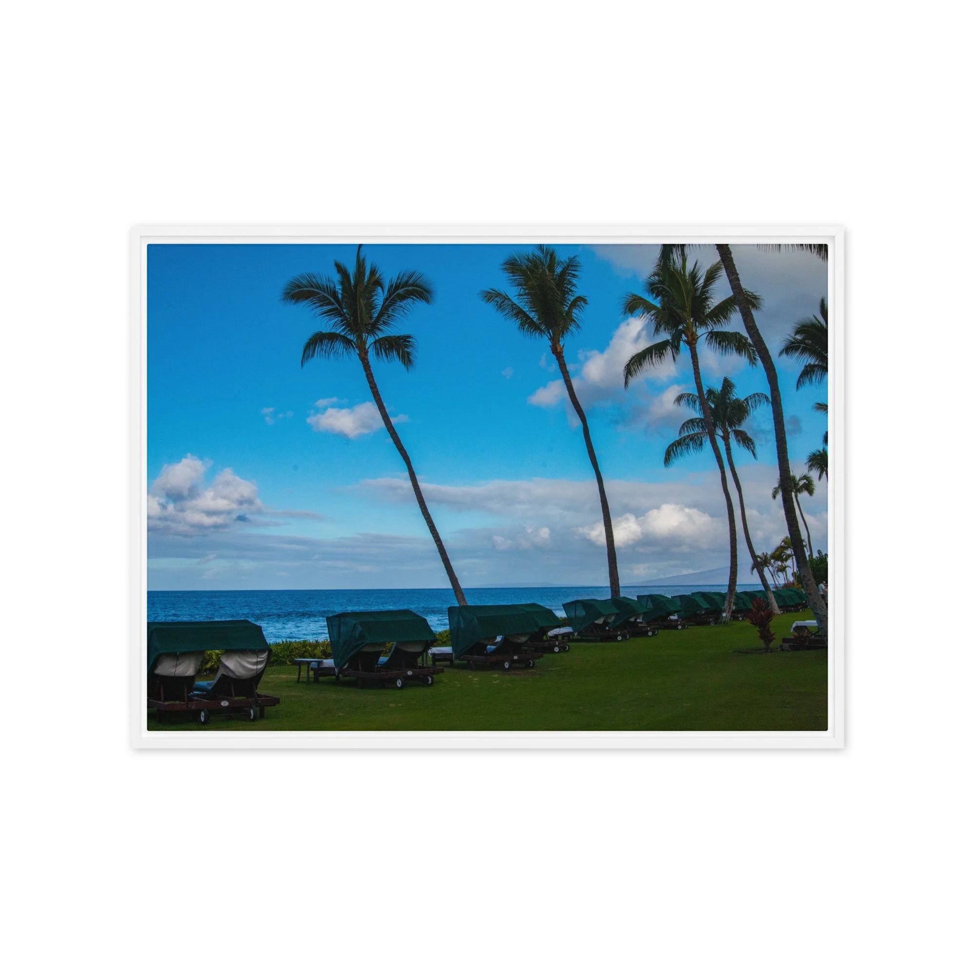 framed-canvas-(in)-white-20x28-front-68c8de7738022.jpg