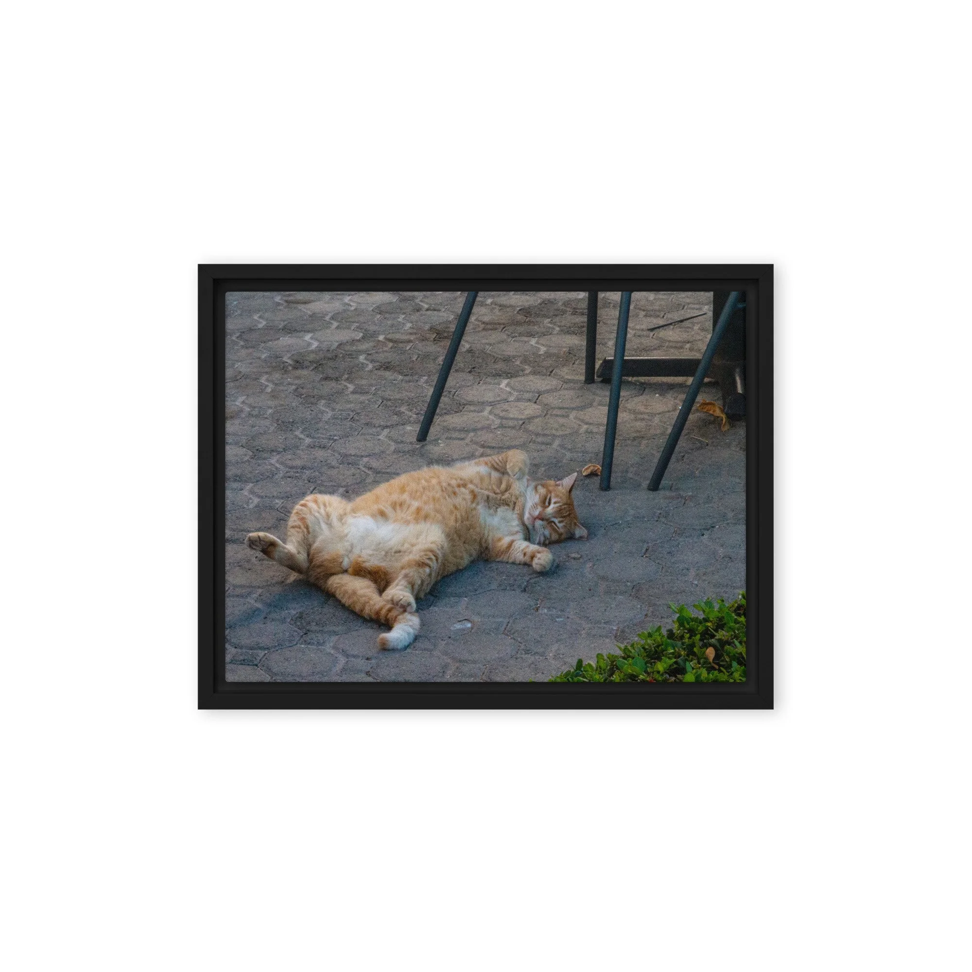framed-canvas-(in)-black-9x12-front-68c8e16b702a2.jpg