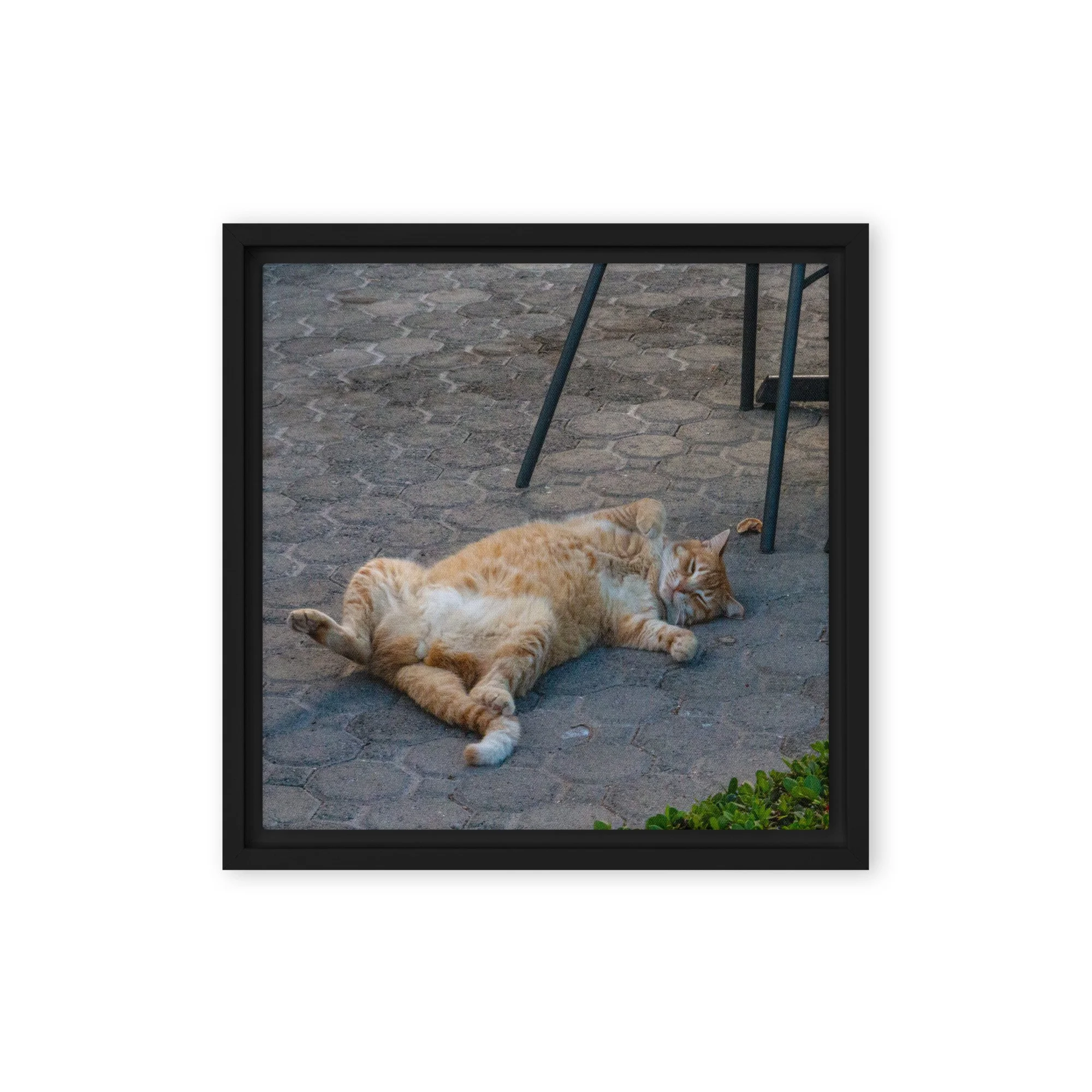 framed-canvas-(in)-black-12x12-front-68c8e16b70b65.jpg