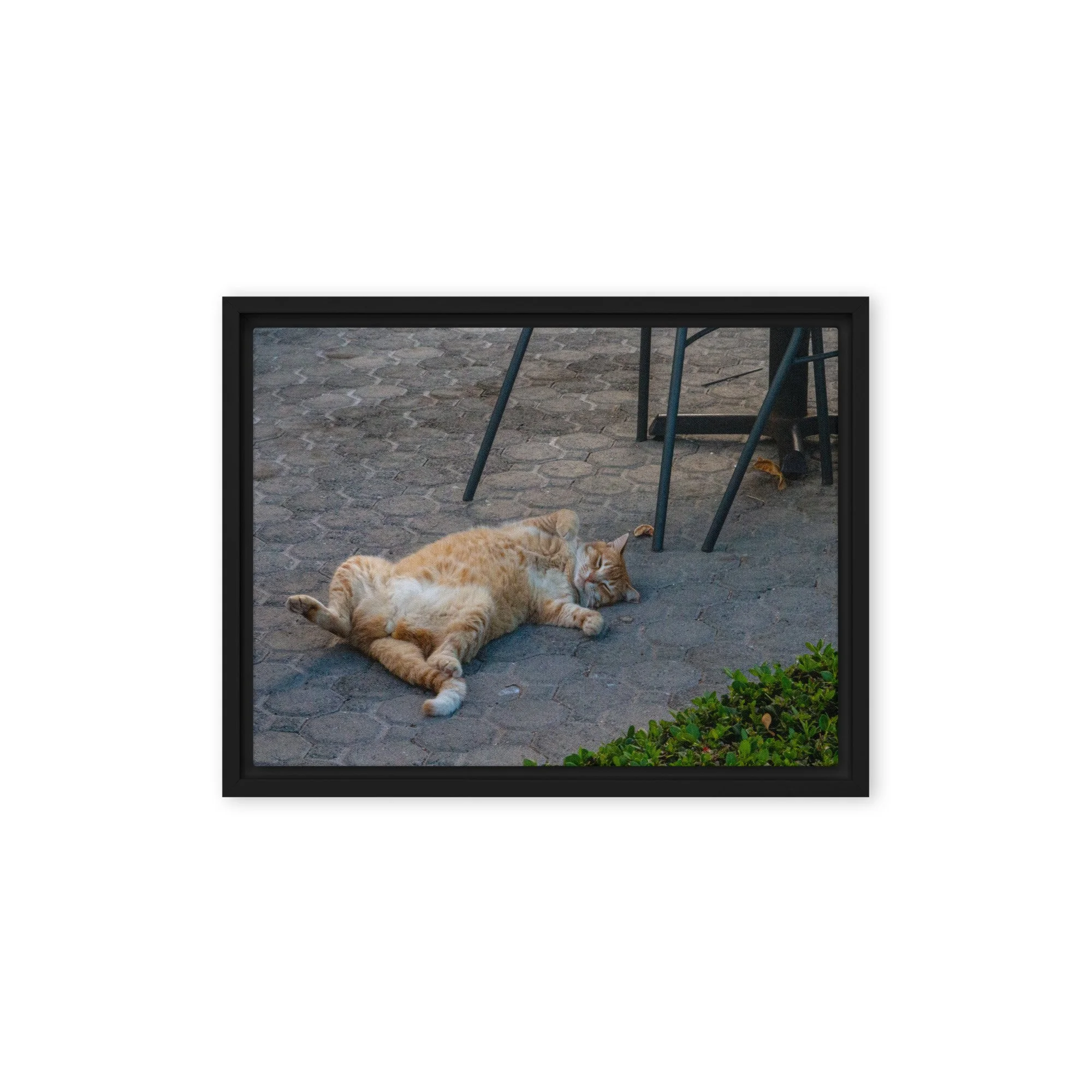 framed-canvas-(in)-black-12x16-front-68c8e16b70bc9.jpg