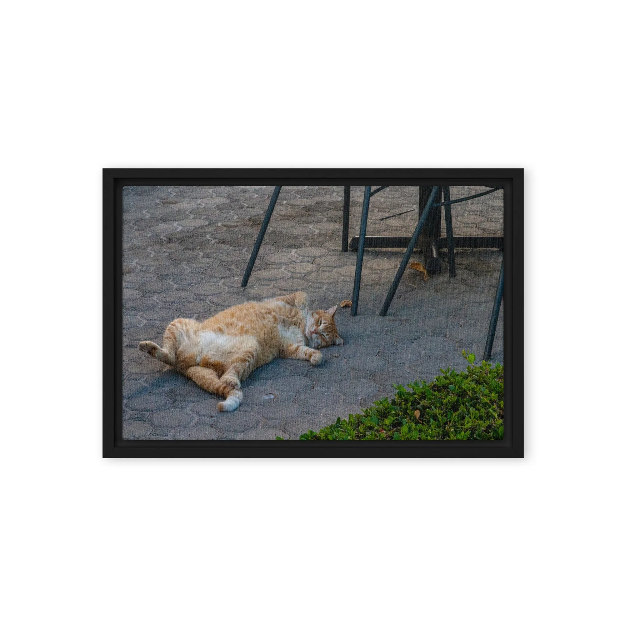 framed-canvas-(in)-black-12x18-front-68c8e16b70c2a.jpg