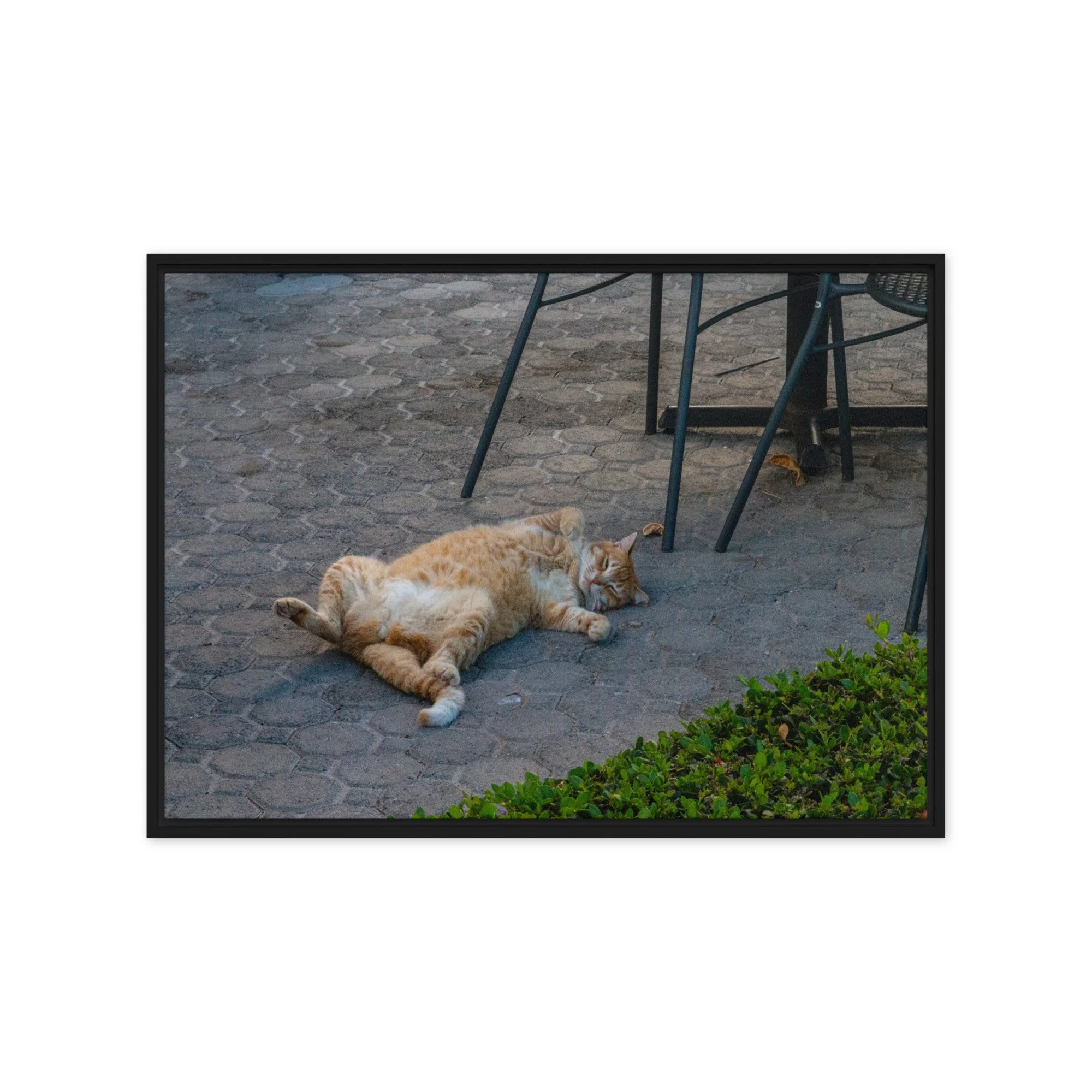 framed-canvas-(in)-black-20x28-front-68c8e16b70da8.jpg