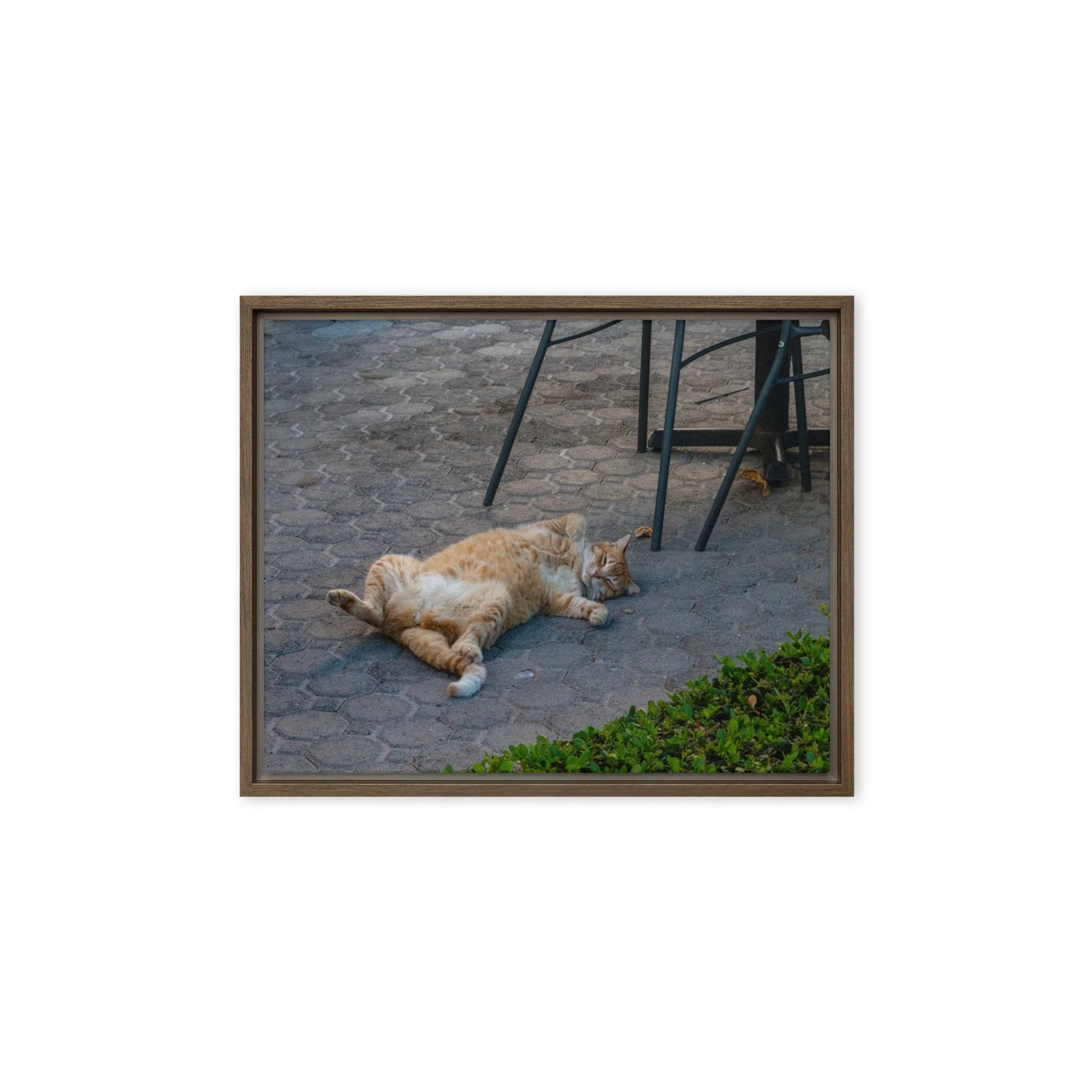 framed-canvas-(in)-brown-8x10-front-68c8e16b70f38.jpg