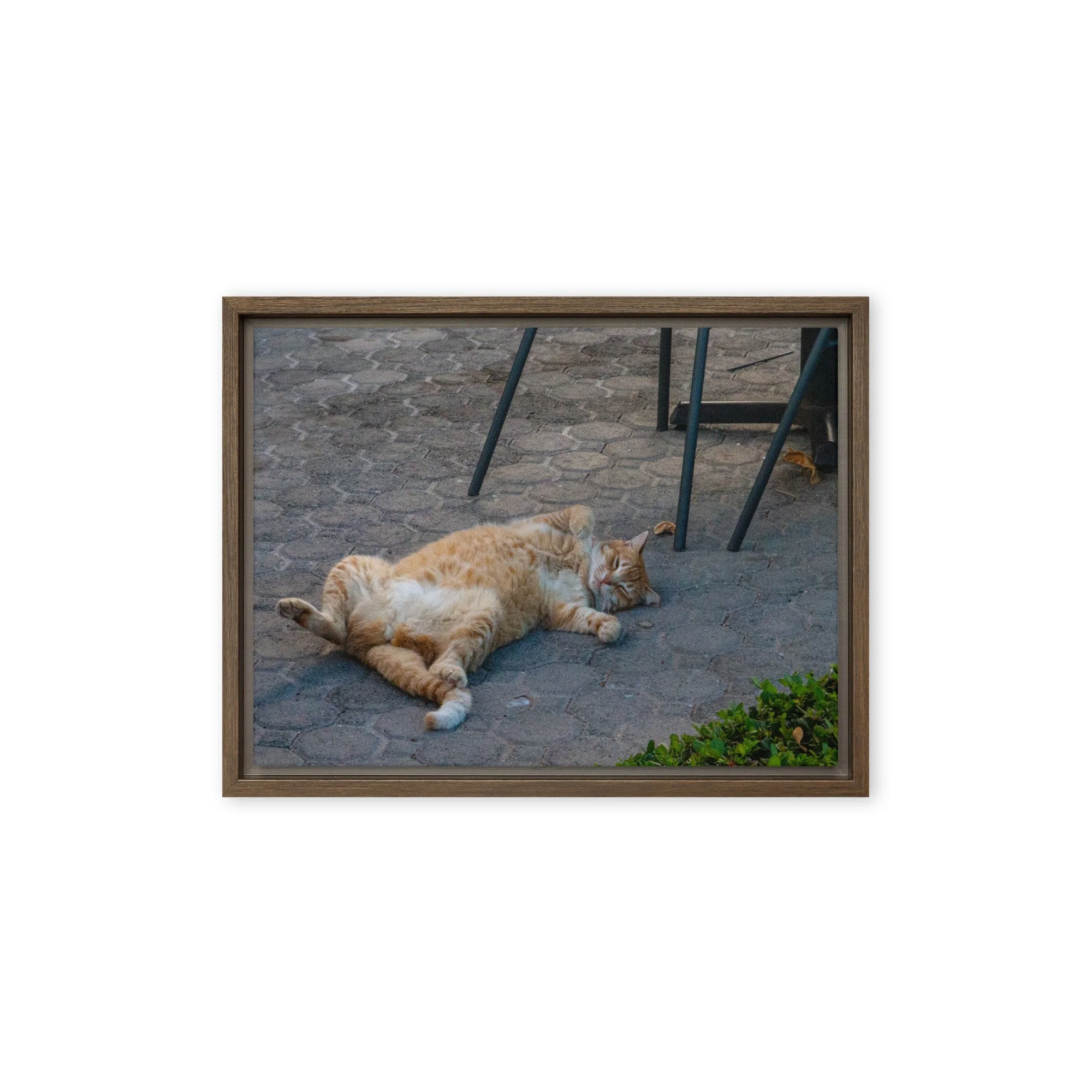 framed-canvas-(in)-brown-9x12-front-68c8e16b70f94.jpg