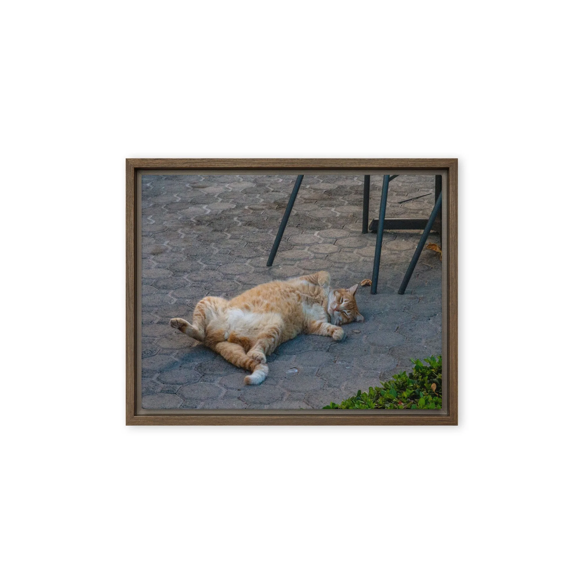 framed-canvas-(in)-brown-11x14-front-68c8e16b70fee.jpg
