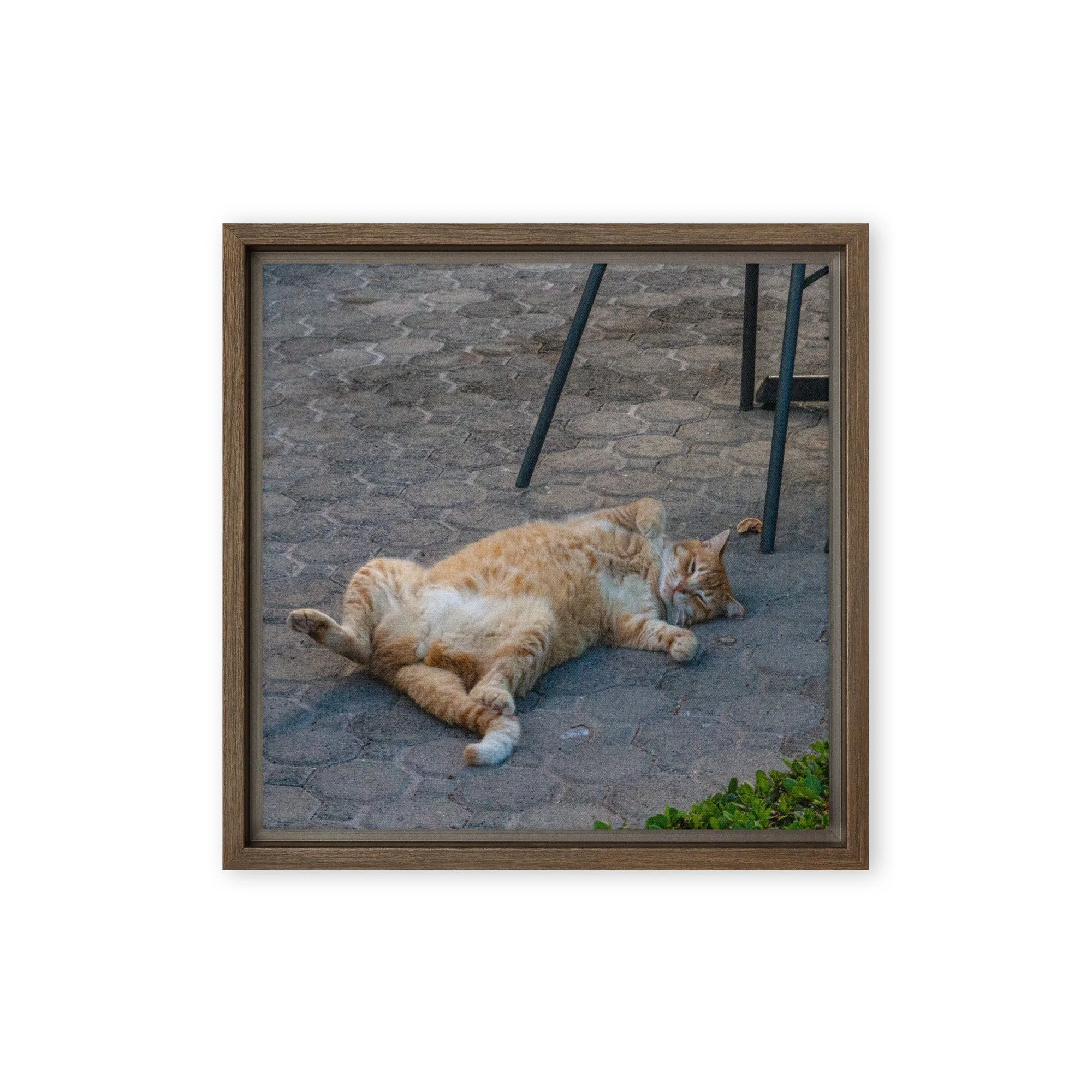 framed-canvas-(in)-brown-12x12-front-68c8e16b71047.jpg