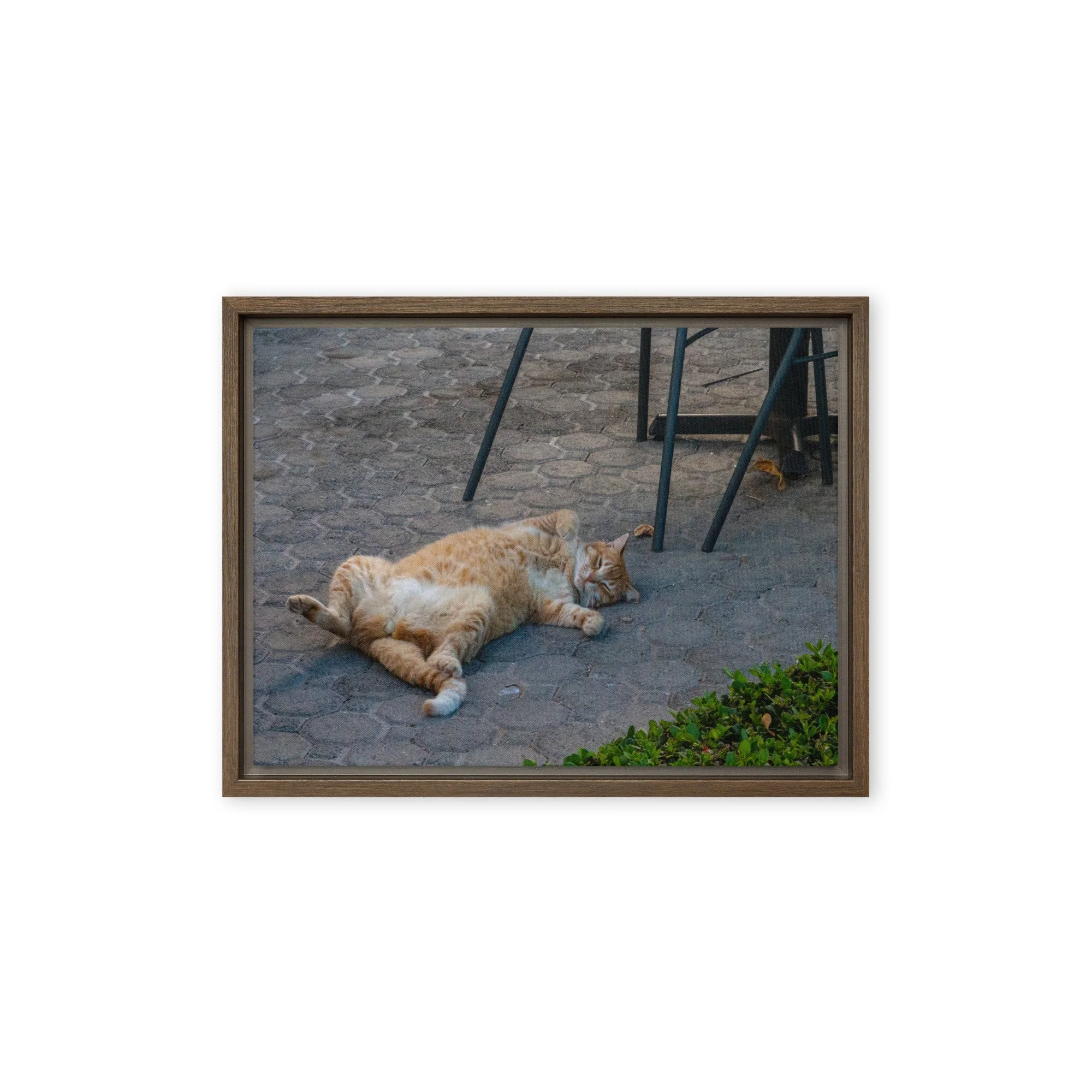 framed-canvas-(in)-brown-12x16-front-68c8e16b710a5.jpg