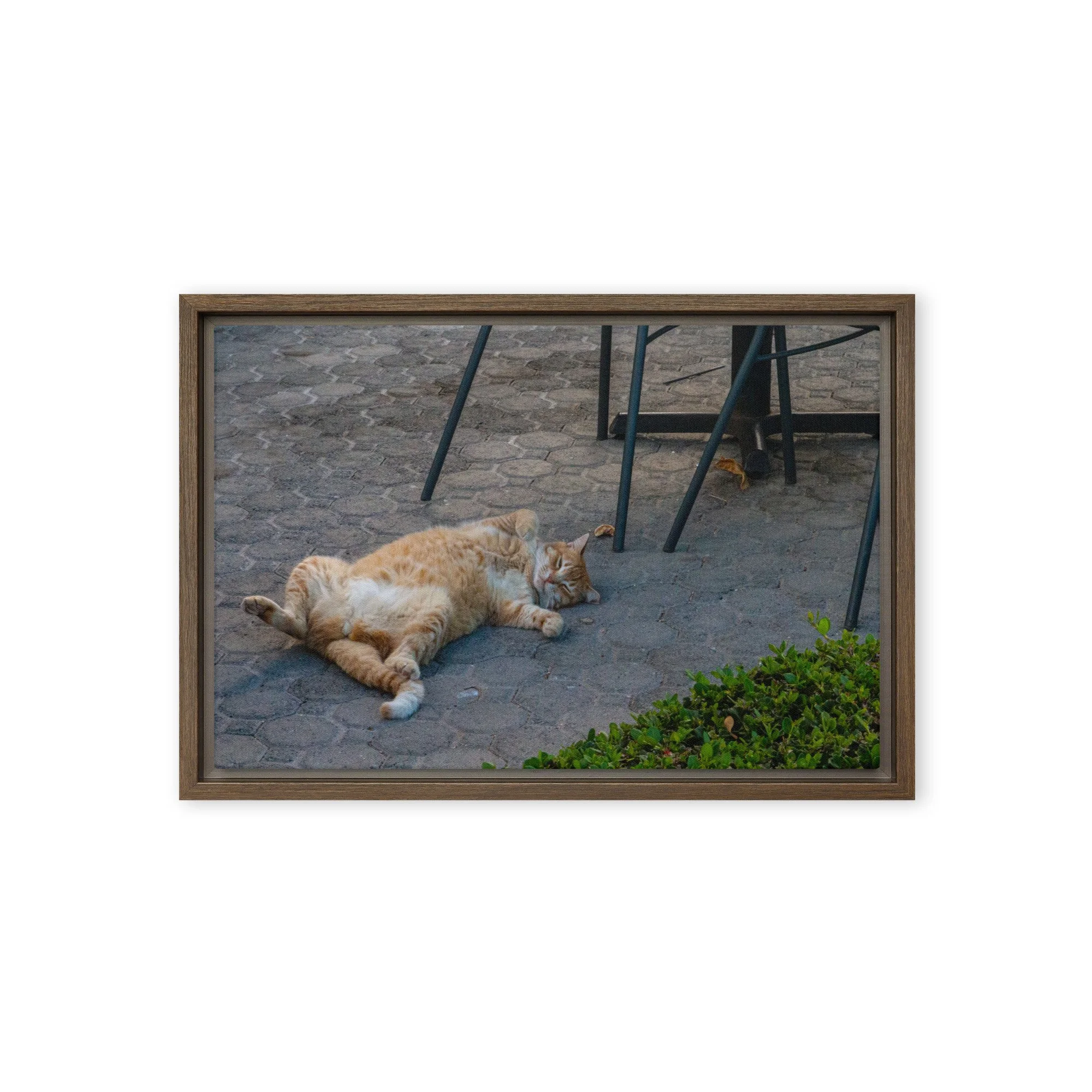 framed-canvas-(in)-brown-12x18-front-68c8e16b71101.jpg