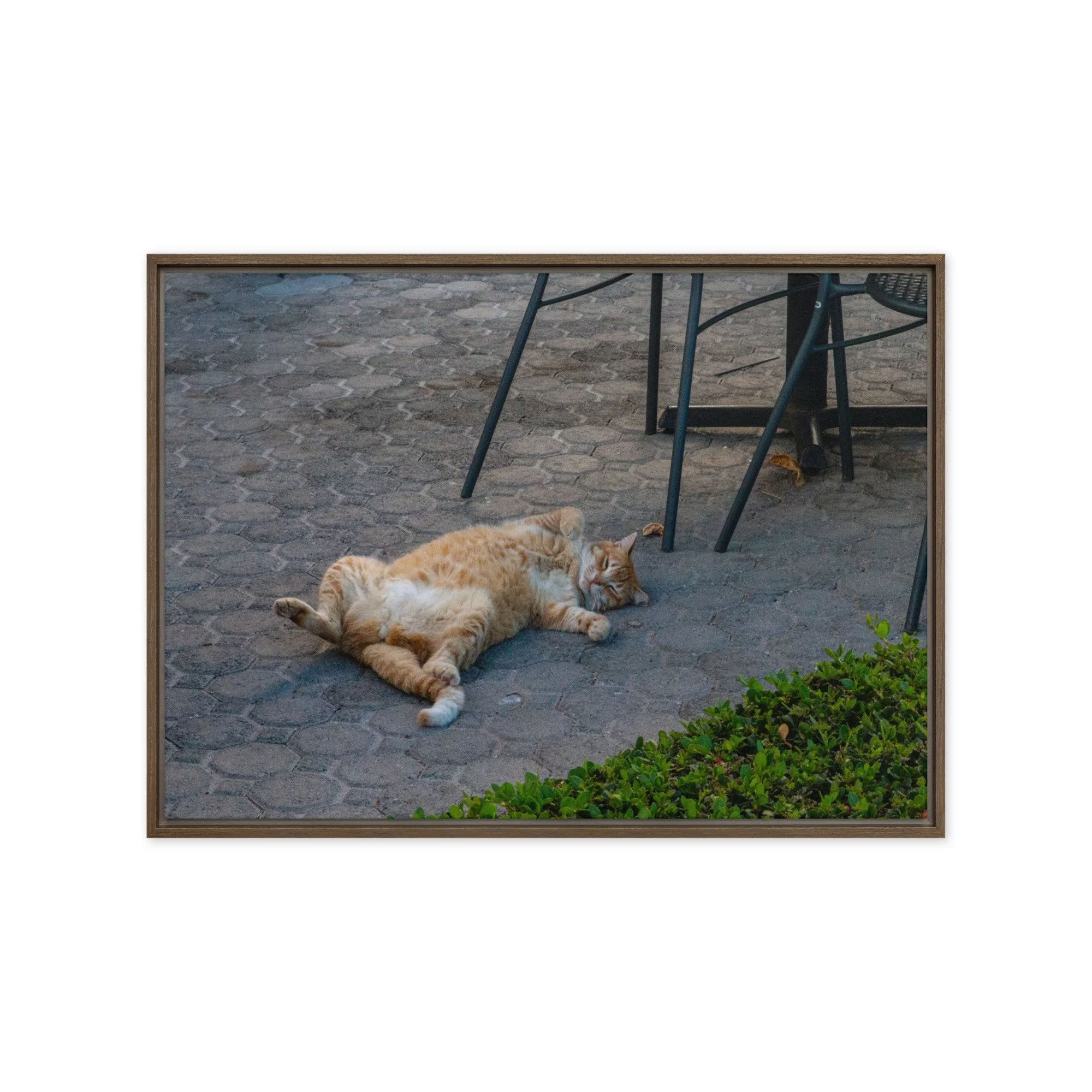 framed-canvas-(in)-brown-20x28-front-68c8e16b7126d.jpg