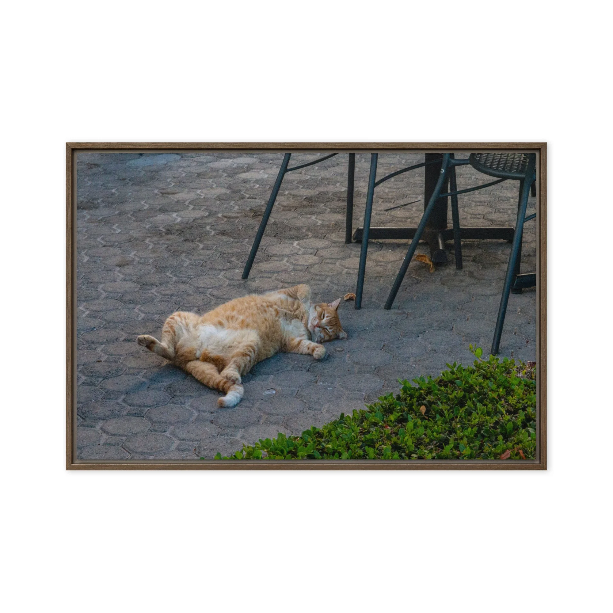 framed-canvas-(in)-brown-20x30-front-68c8e16b712c5.jpg