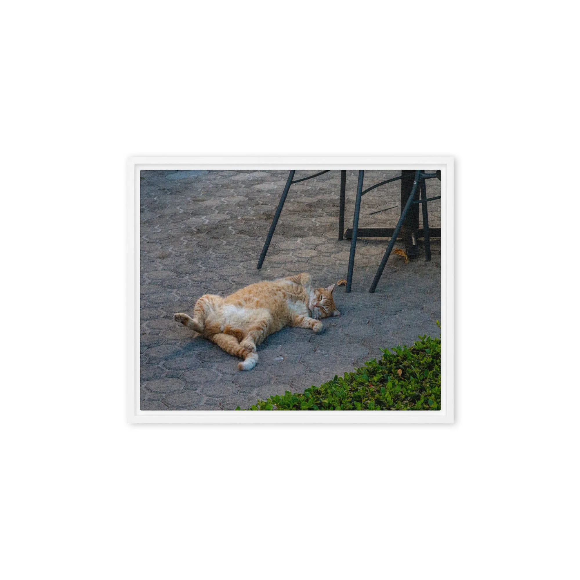 framed-canvas-(in)-white-8x10-front-68c8e16b713d1.jpg