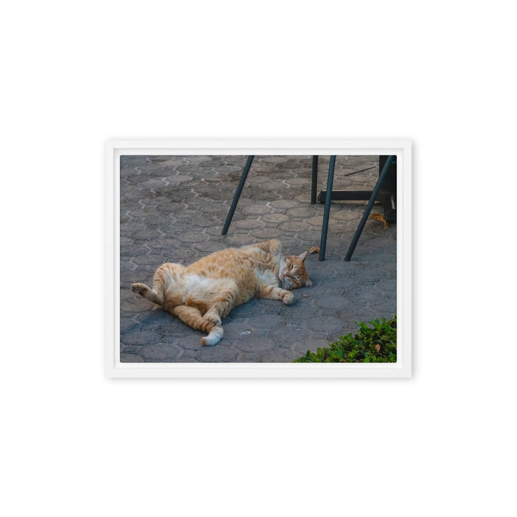 framed-canvas-(in)-white-9x12-front-68c8e16b71428.jpg