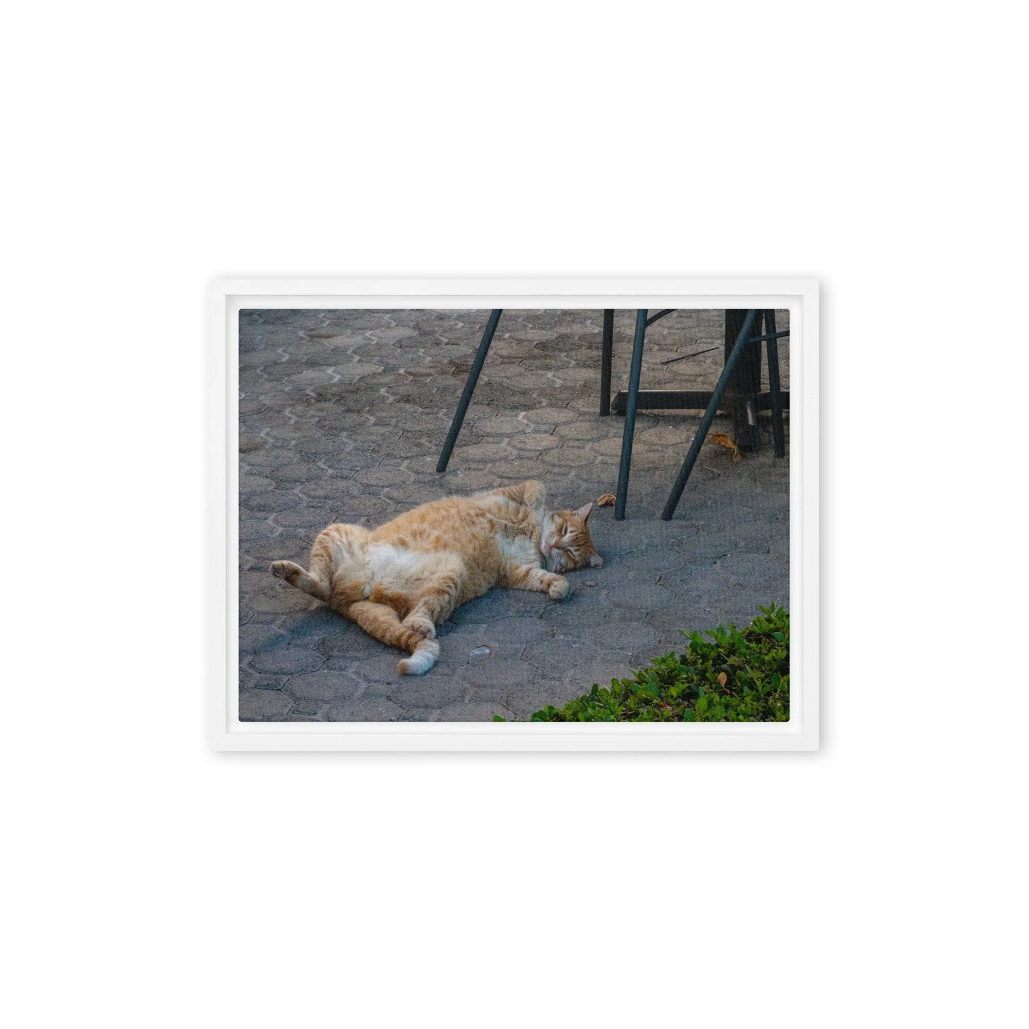 framed-canvas-(in)-white-12x16-front-68c8e16b7153b.jpg