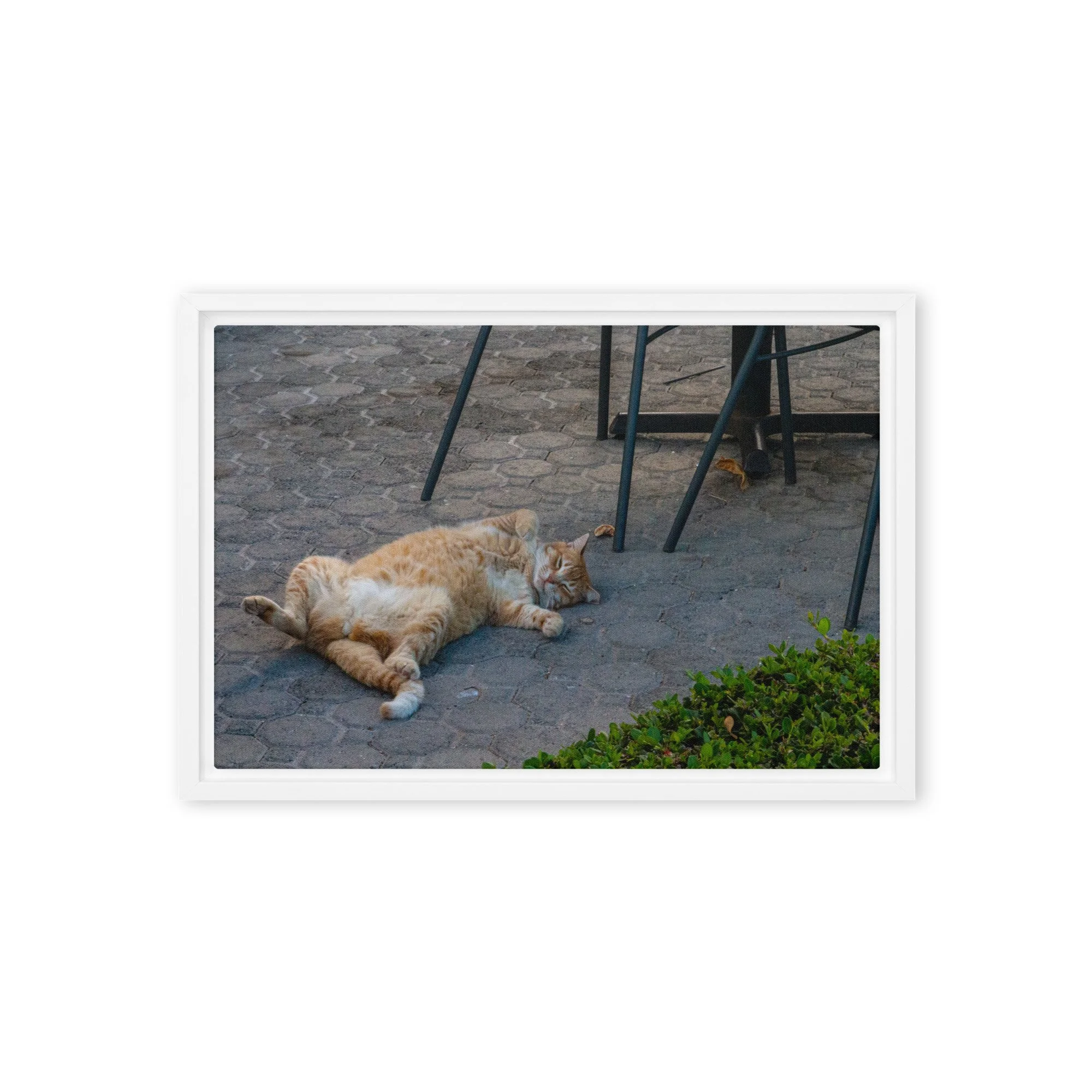 framed-canvas-(in)-white-12x18-front-68c8e16b71596.jpg