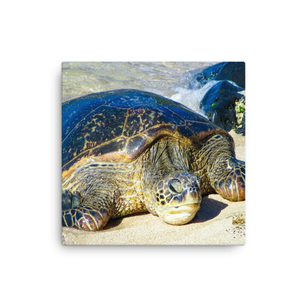 thin-canvas-(in)-16x16-front-68c98289dd69c.jpg