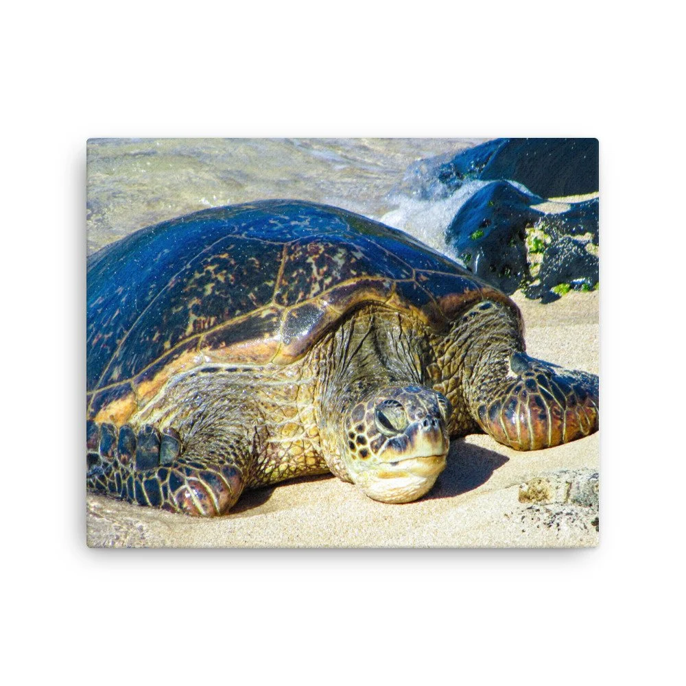 thin-canvas-(in)-16x20-front-68c98289dd701.jpg