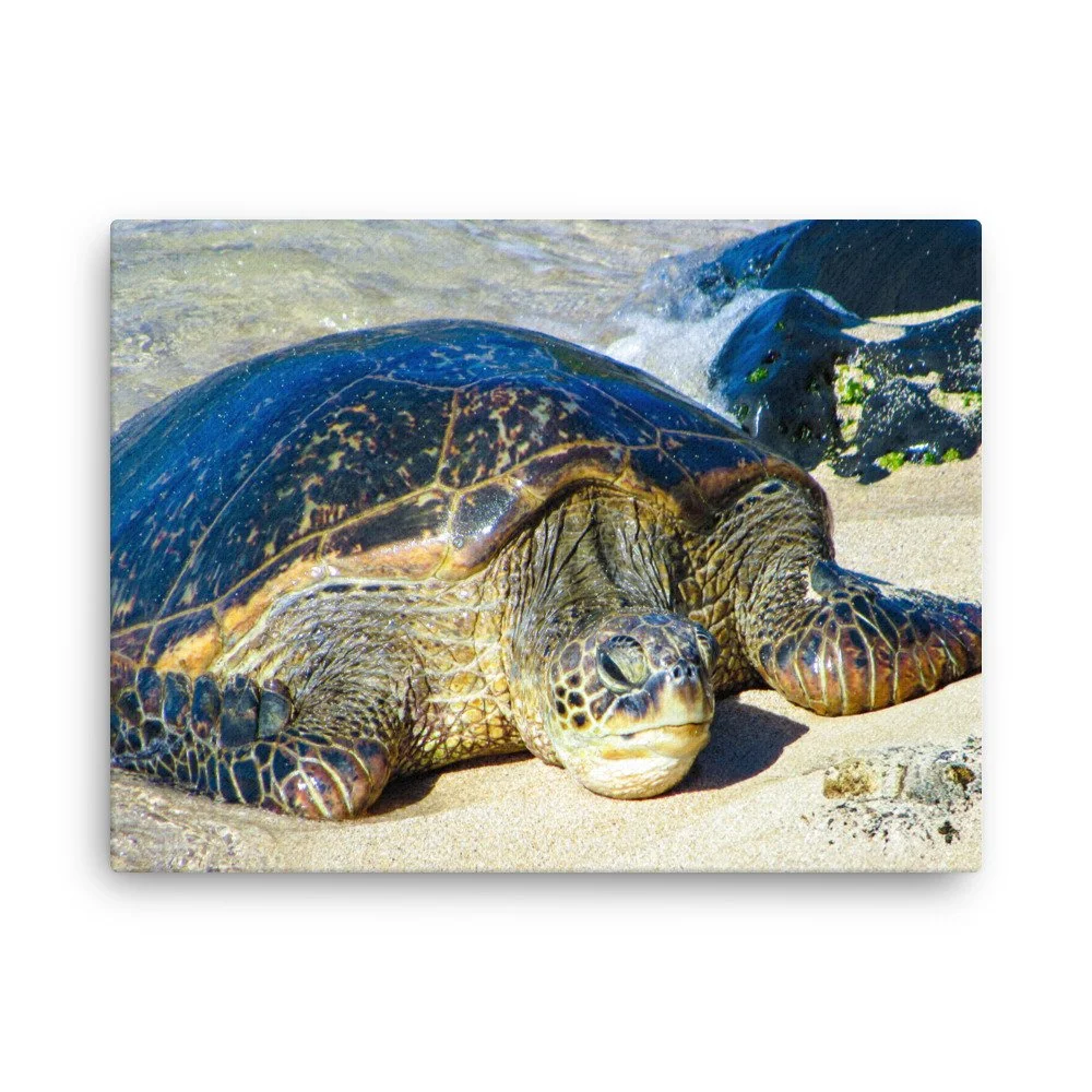 thin-canvas-(in)-18x24-front-68c98289dd76e.jpg
