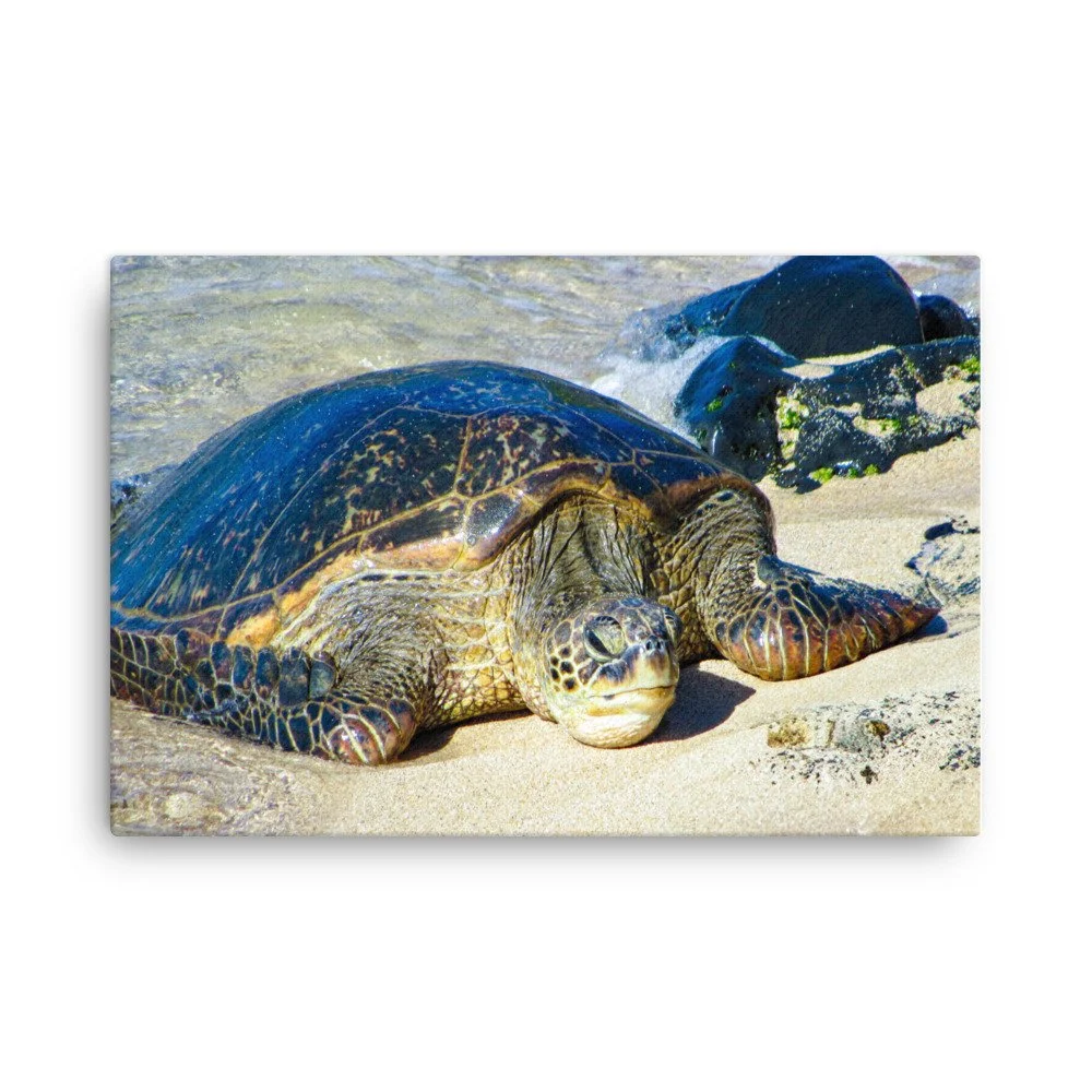 thin-canvas-(in)-24x36-front-68c98289dd7c9.jpg