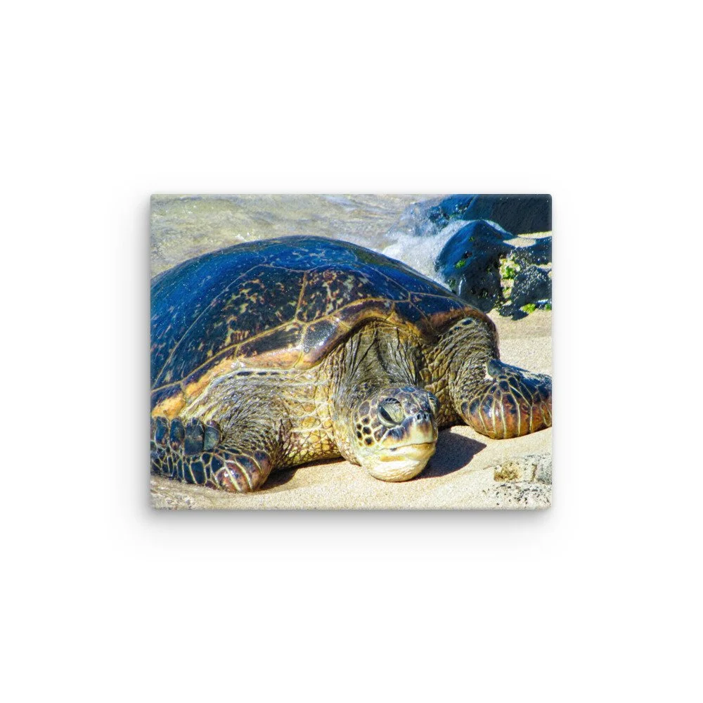 thin-canvas-(in)-11x14-front-68c98289dd821.jpg