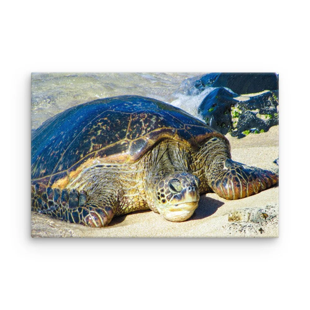 thin-canvas-(in)-12x18-front-68c98289dd878.jpg