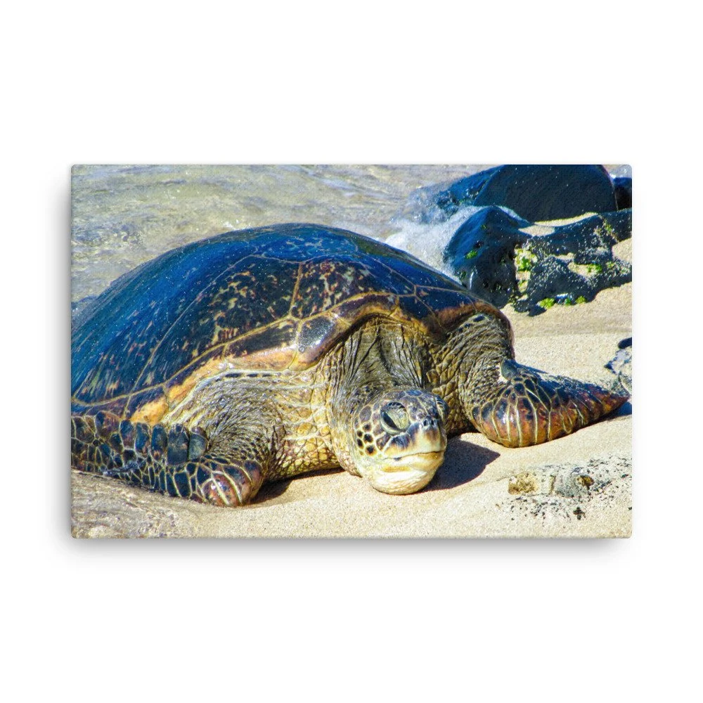 thin-canvas-(in)-20x30-front-68c98289dd8e5.jpg