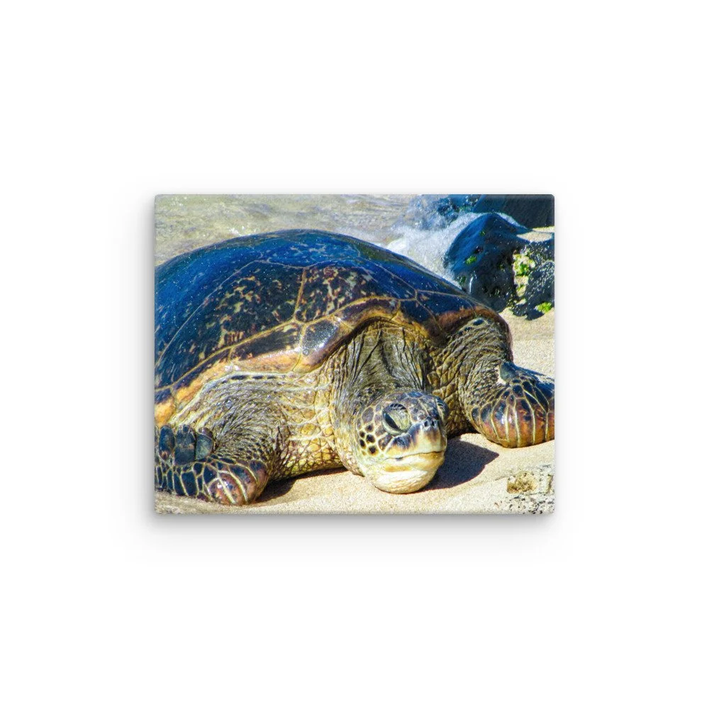 thin-canvas-(in)-8x10-front-68c98289dd99c.jpg