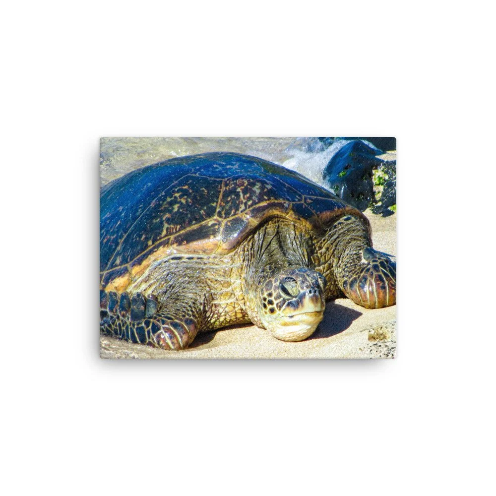thin-canvas-(in)-9x12-front-68c98289dd9f3.jpg