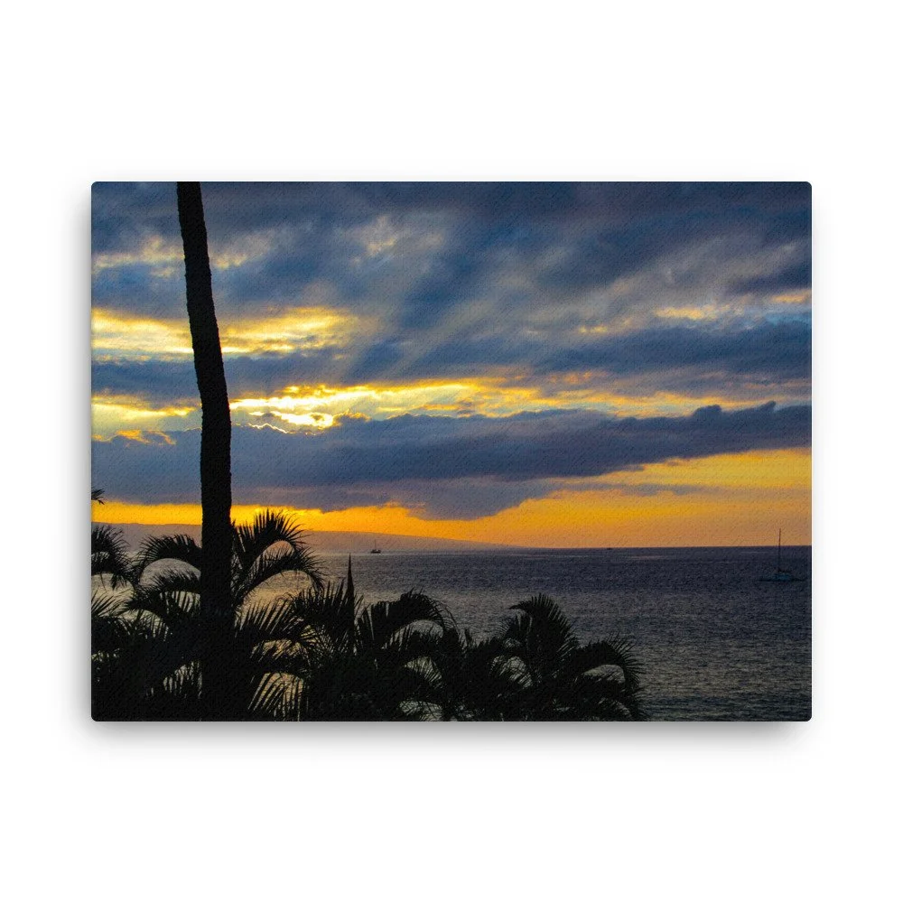 Stunning Maui sunset with palm trees and sun beams!