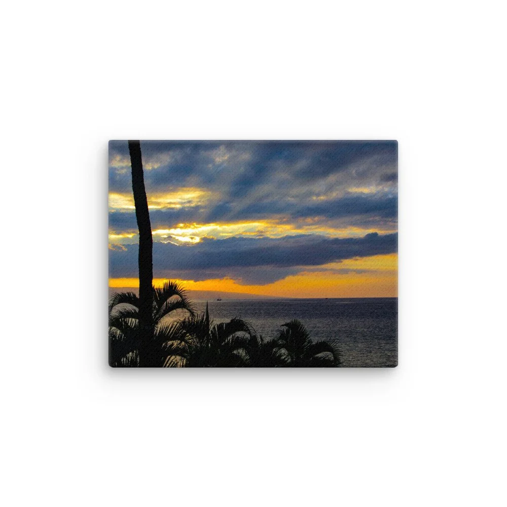 thin-canvas-(in)-11x14-front-68d038f5a8776.jpg