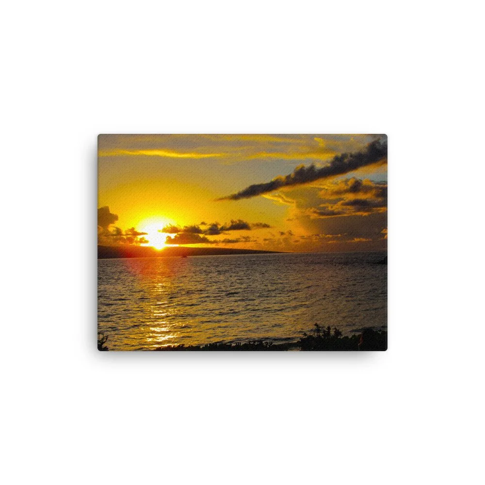 thin-canvas-(in)-12x16-front-68d03ab5a71f0.jpg