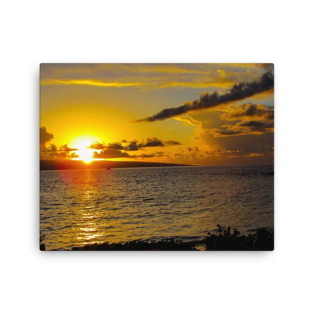 thin-canvas-(in)-16x20-front-68d03ab5a72c2.jpg