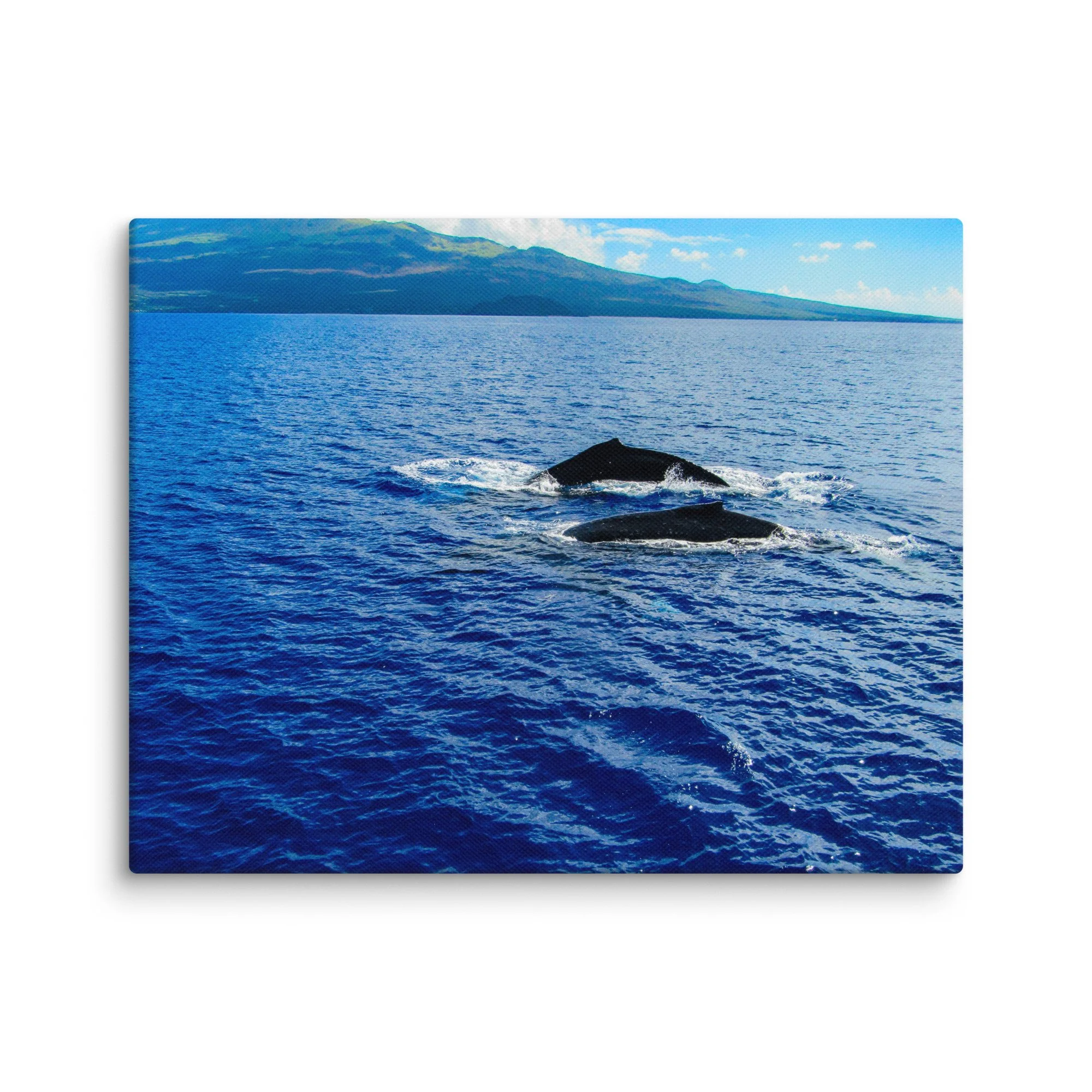 canvas-(in)-11x14-wall-68d0405380764.jpg