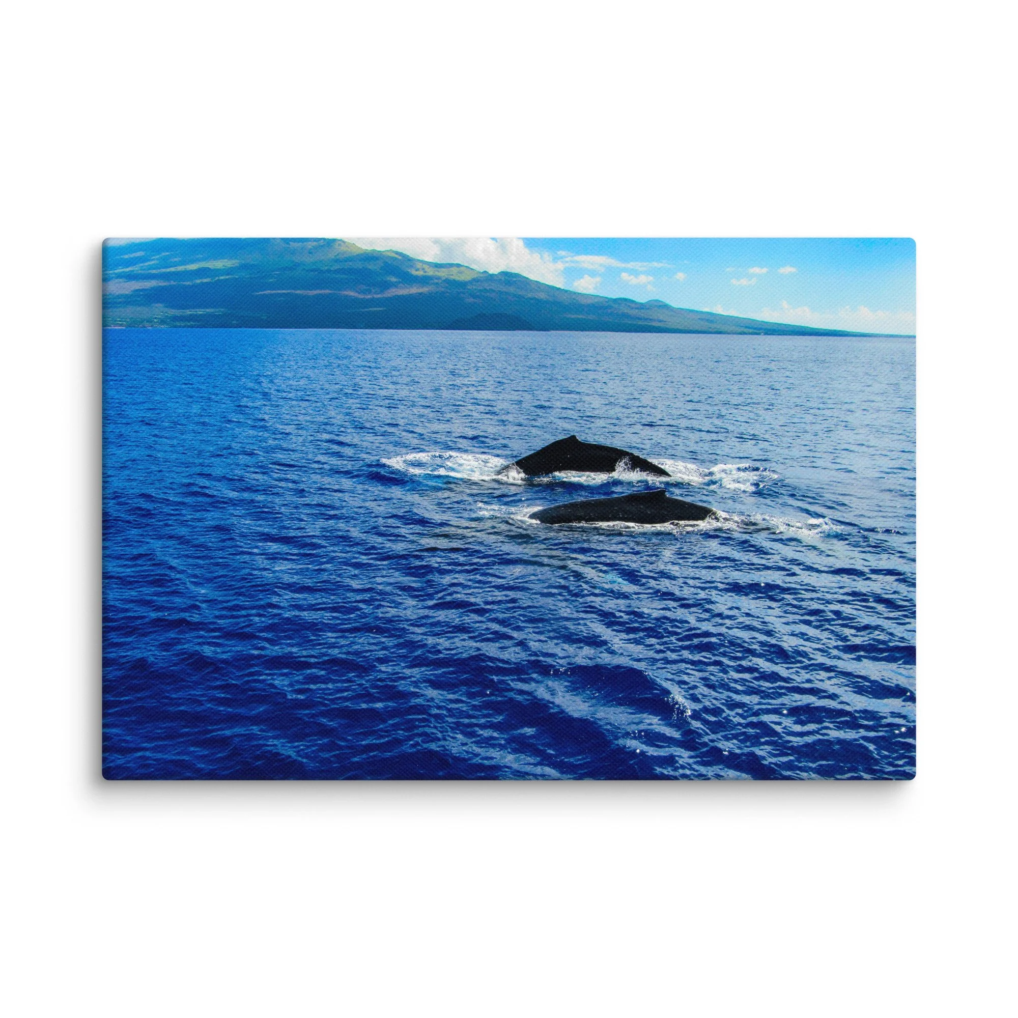 canvas-(in)-12x18-wall-68d04053807f0.jpg