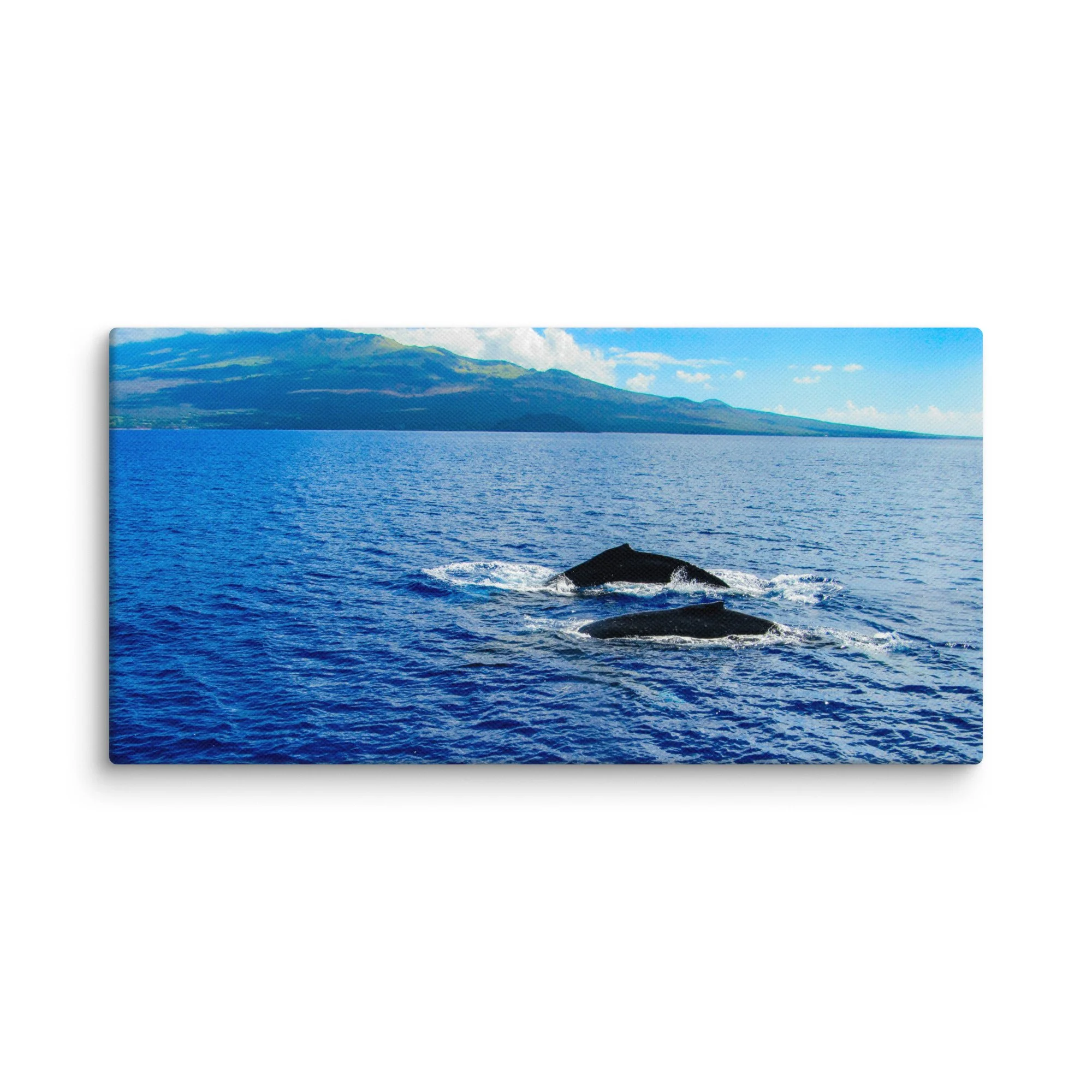 canvas-(in)-12x24-wall-68d040538083e.jpg