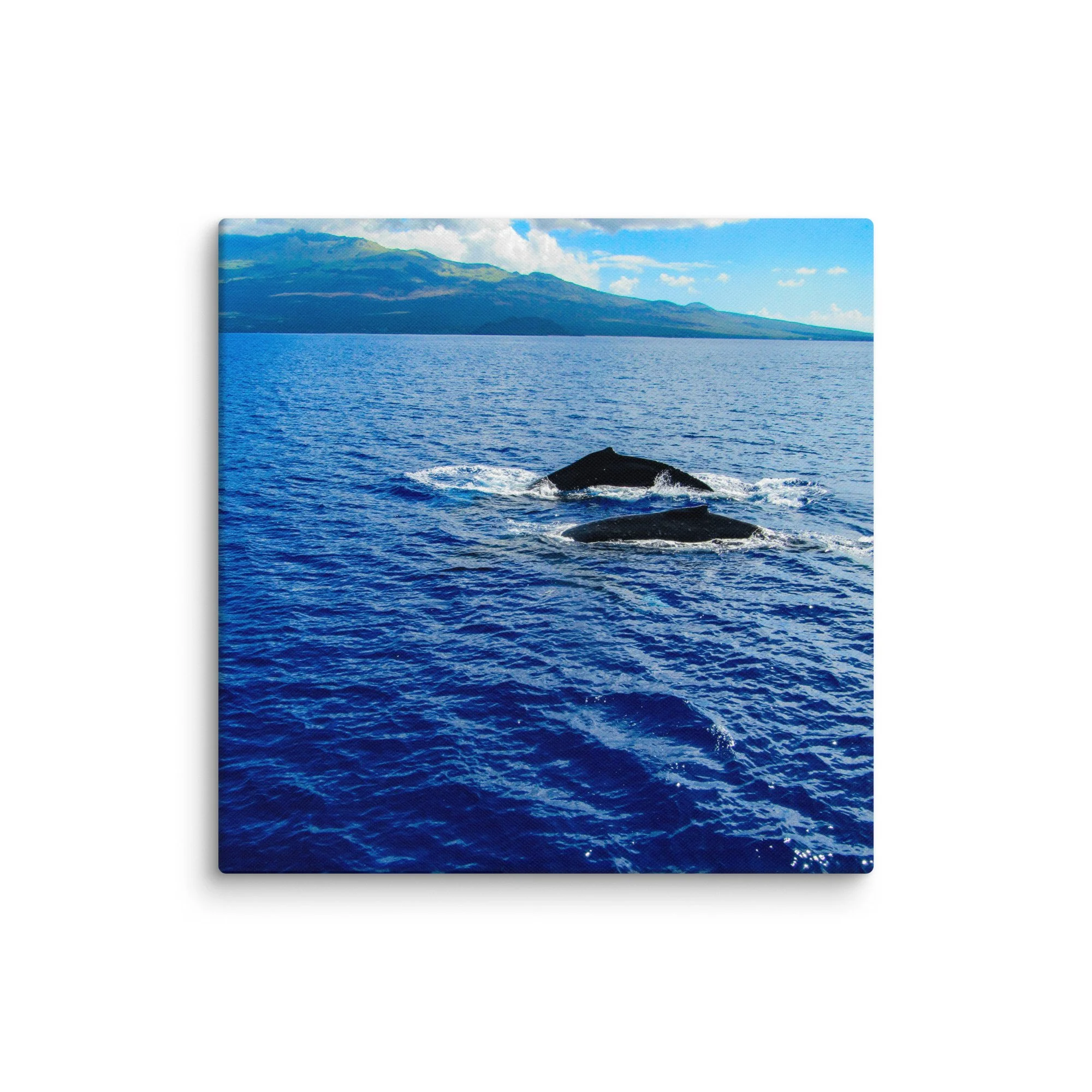 canvas-(in)-18x18-wall-68d0405380888.jpg