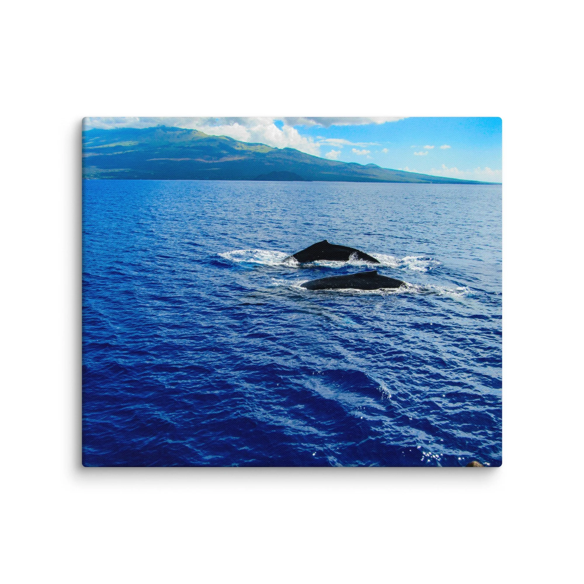 canvas-(in)-20x24-wall-68d0405380920.jpg