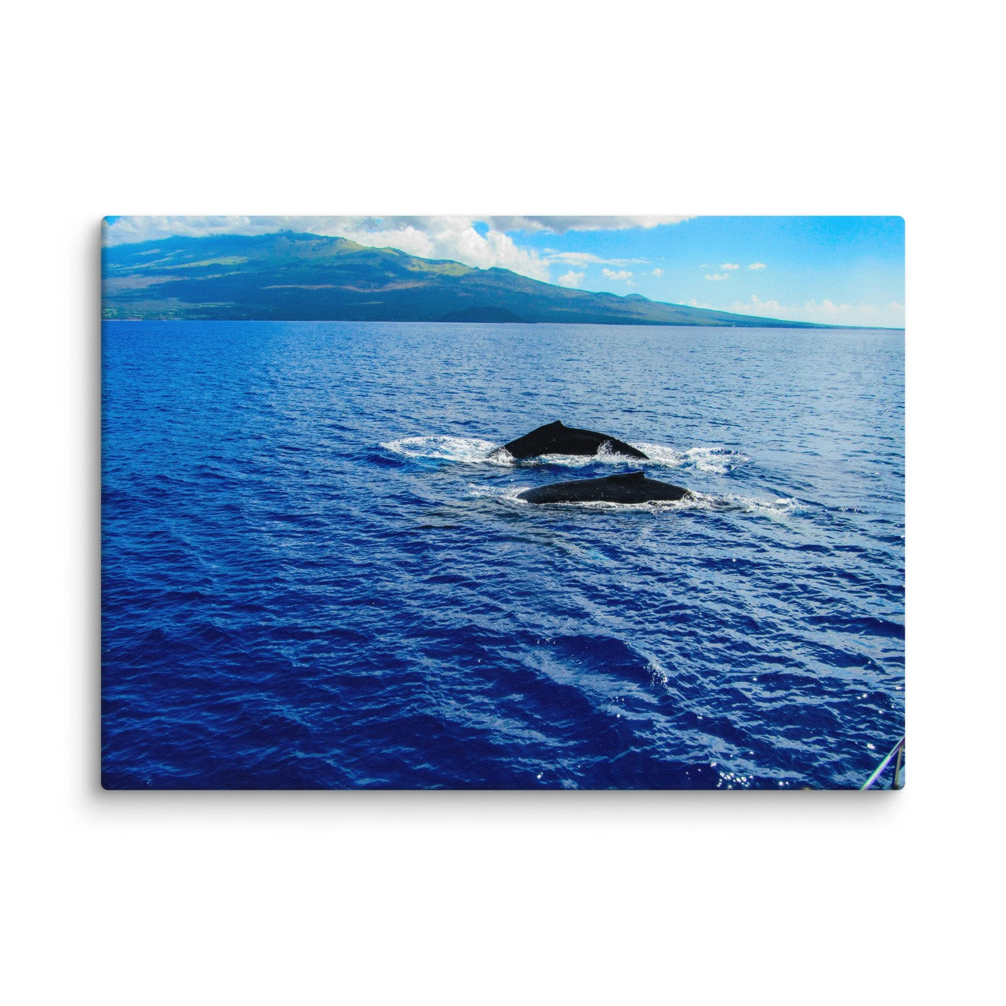 canvas-(in)-20x28-wall-68d0405380968.jpg