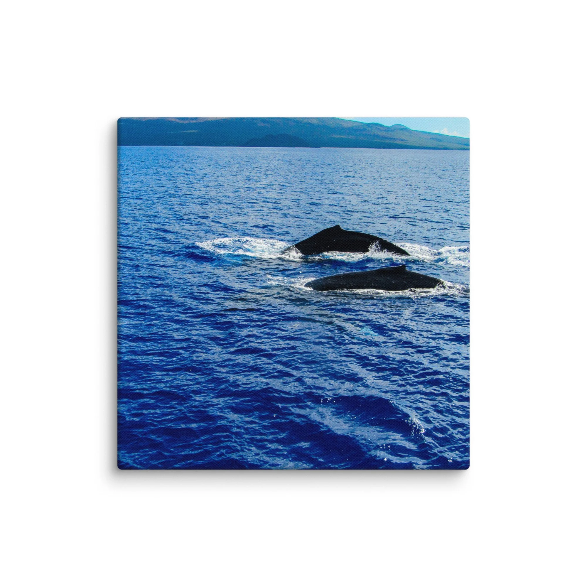 canvas-(in)-6x6-wall-68d04053809f6.jpg