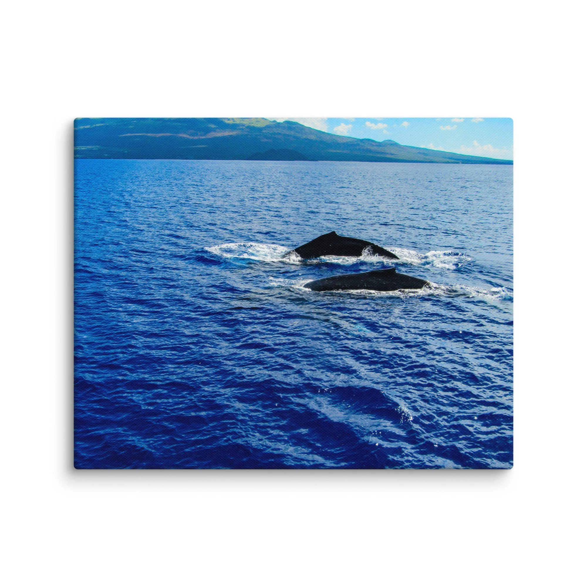 canvas-(in)-8x10-wall-68d0405380a76.jpg