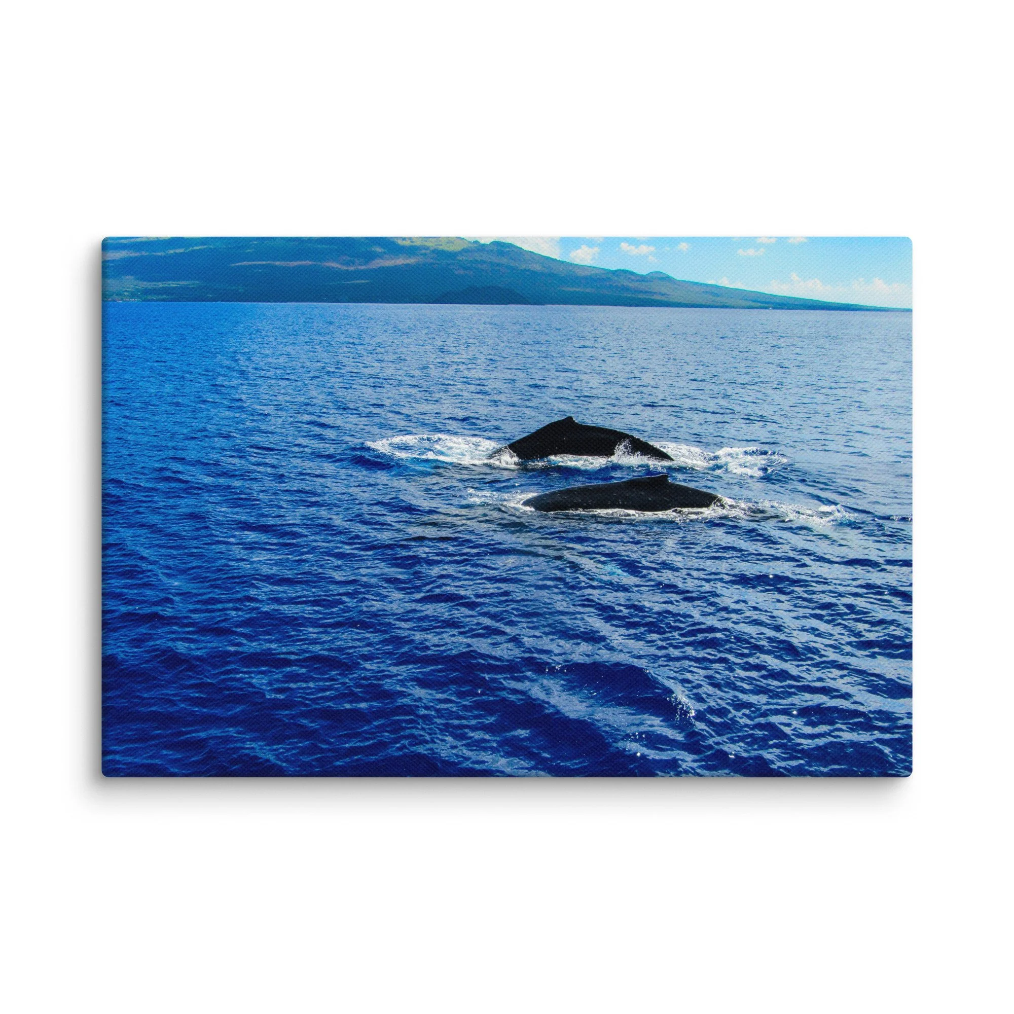 canvas-(in)-8x12-wall-68d0405380af5.jpg