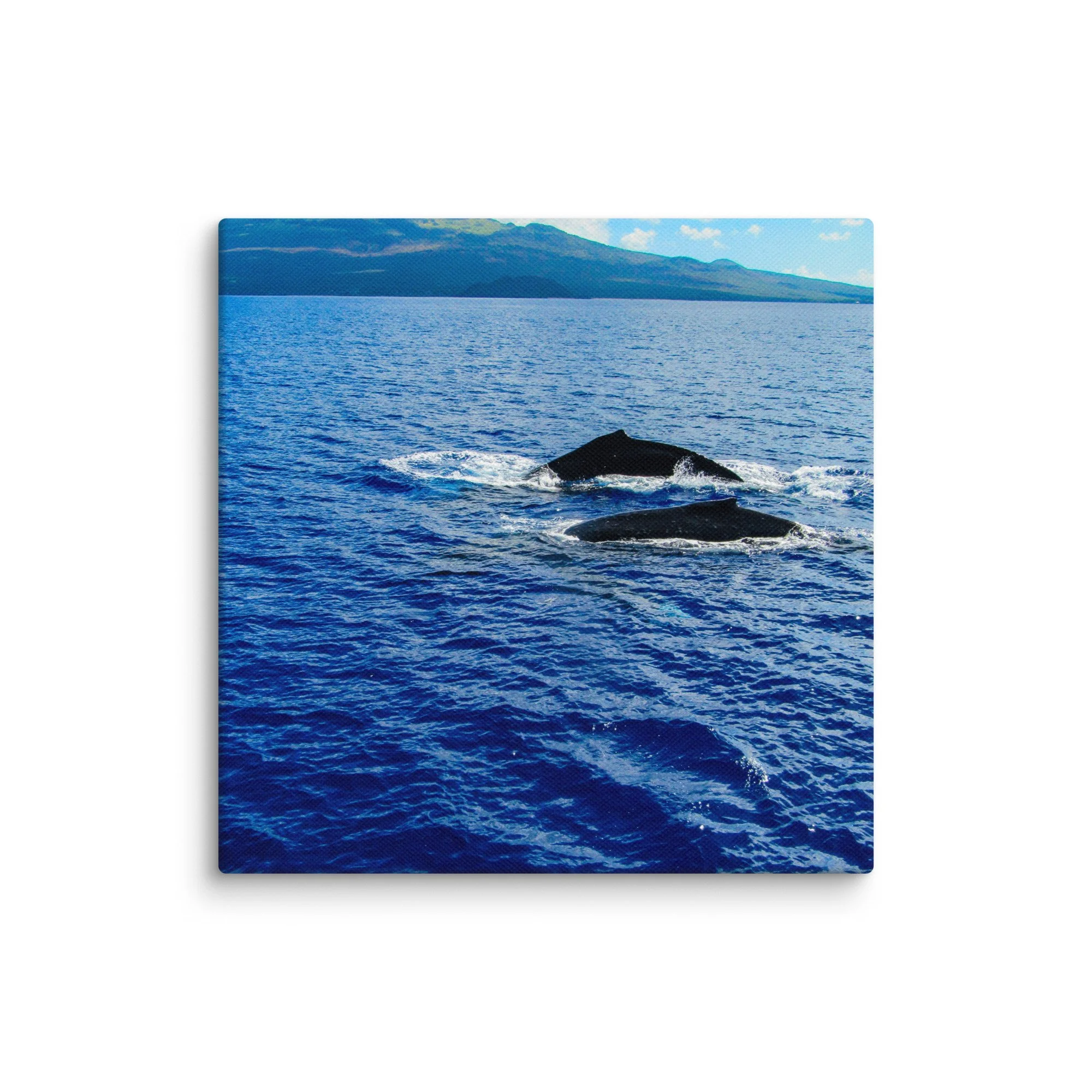 canvas-(in)-8x8-wall-68d0405380b7d.jpg