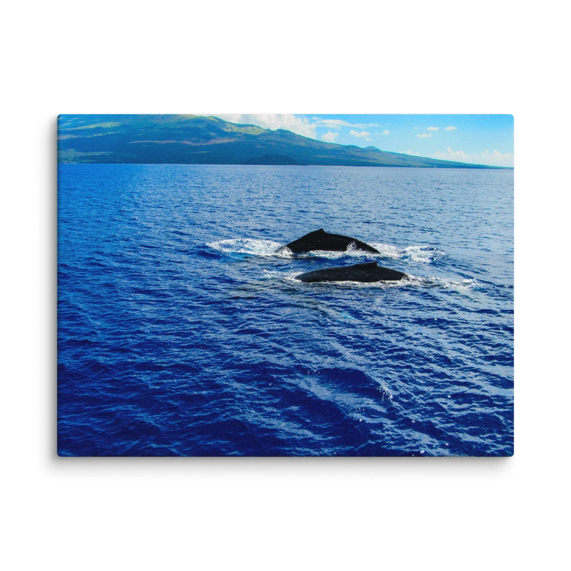 canvas-(in)-12x16-wall-68d0405380c7c.jpg