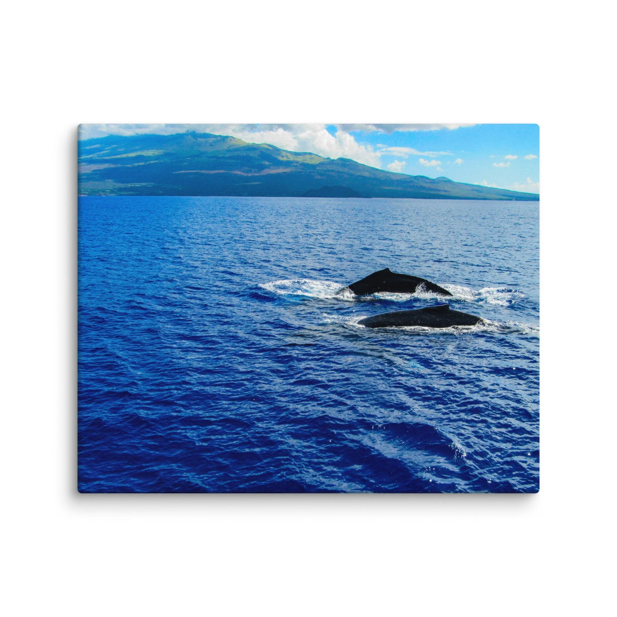 canvas-(in)-16x20-wall-68d0405380d00.jpg